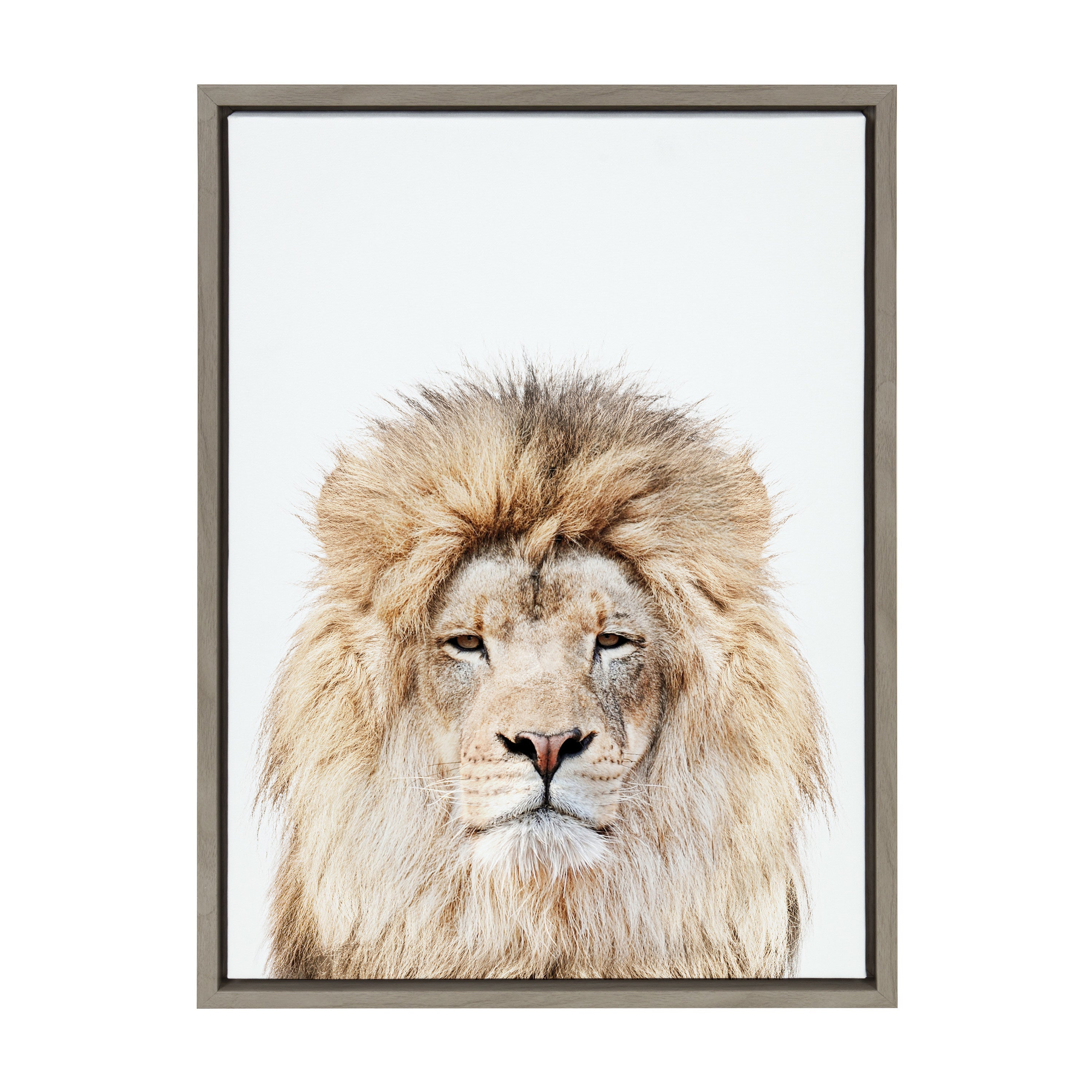 Sylvie Lion Stare Portrait Framed Canvas by Amy Peterson Art Studio