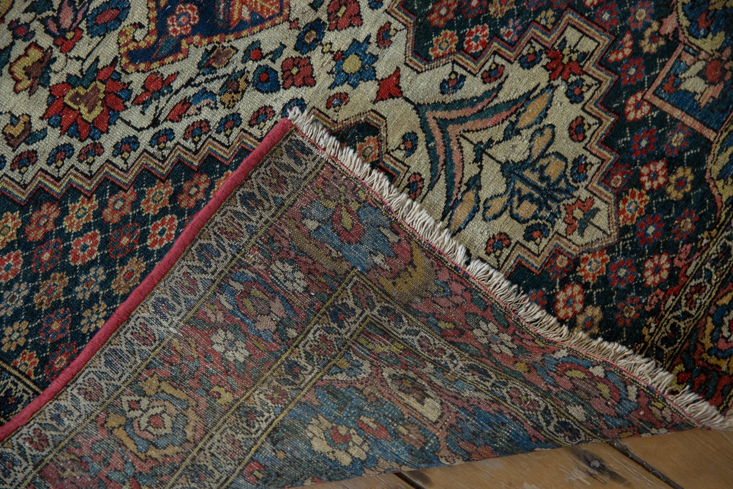 4.5x6.5 Vintage Baktiari Rug by Old New House® - product image 9 for Resin Society