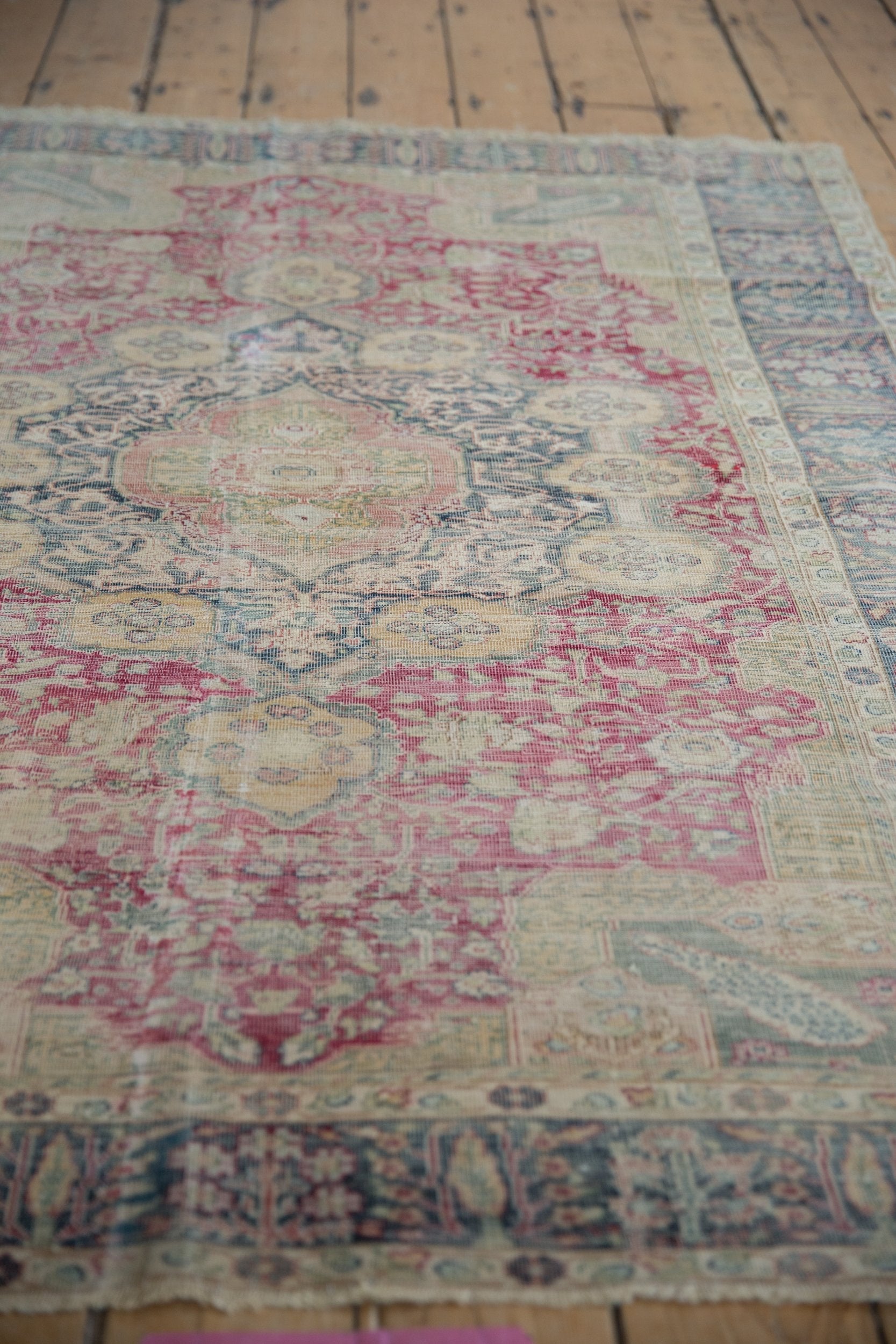 4.5x6 Vintage Kaisary Rug by Old New House® - product image 8 for Resin Society