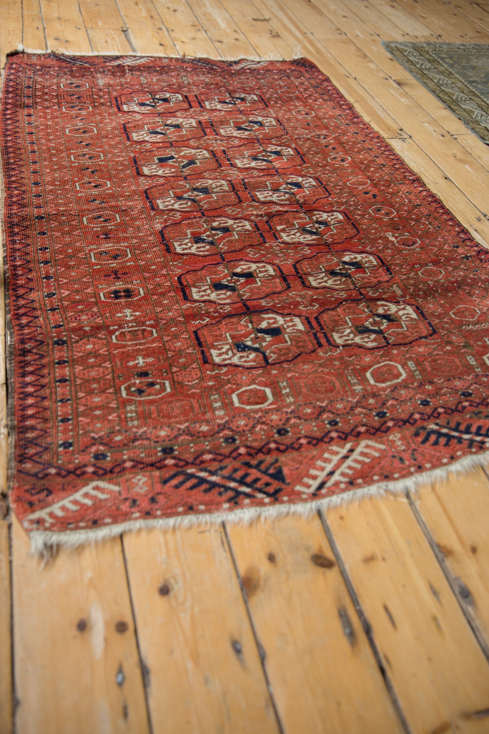 3.5x5.5 Vintage Belouch Rug by Old New House® - product image 6 for Resin Society