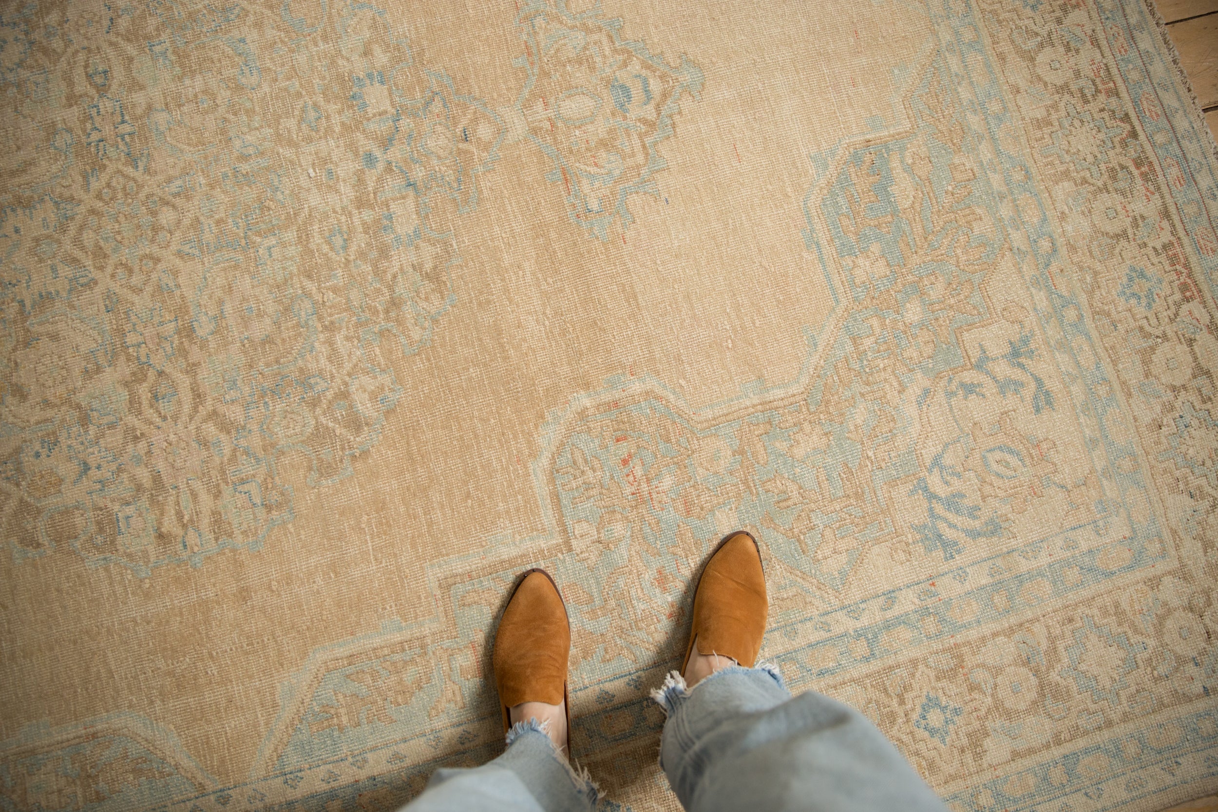 7.5x9.5 Vintage Distressed Birjand Carpet by Old New House® - product image 2 for Resin Society