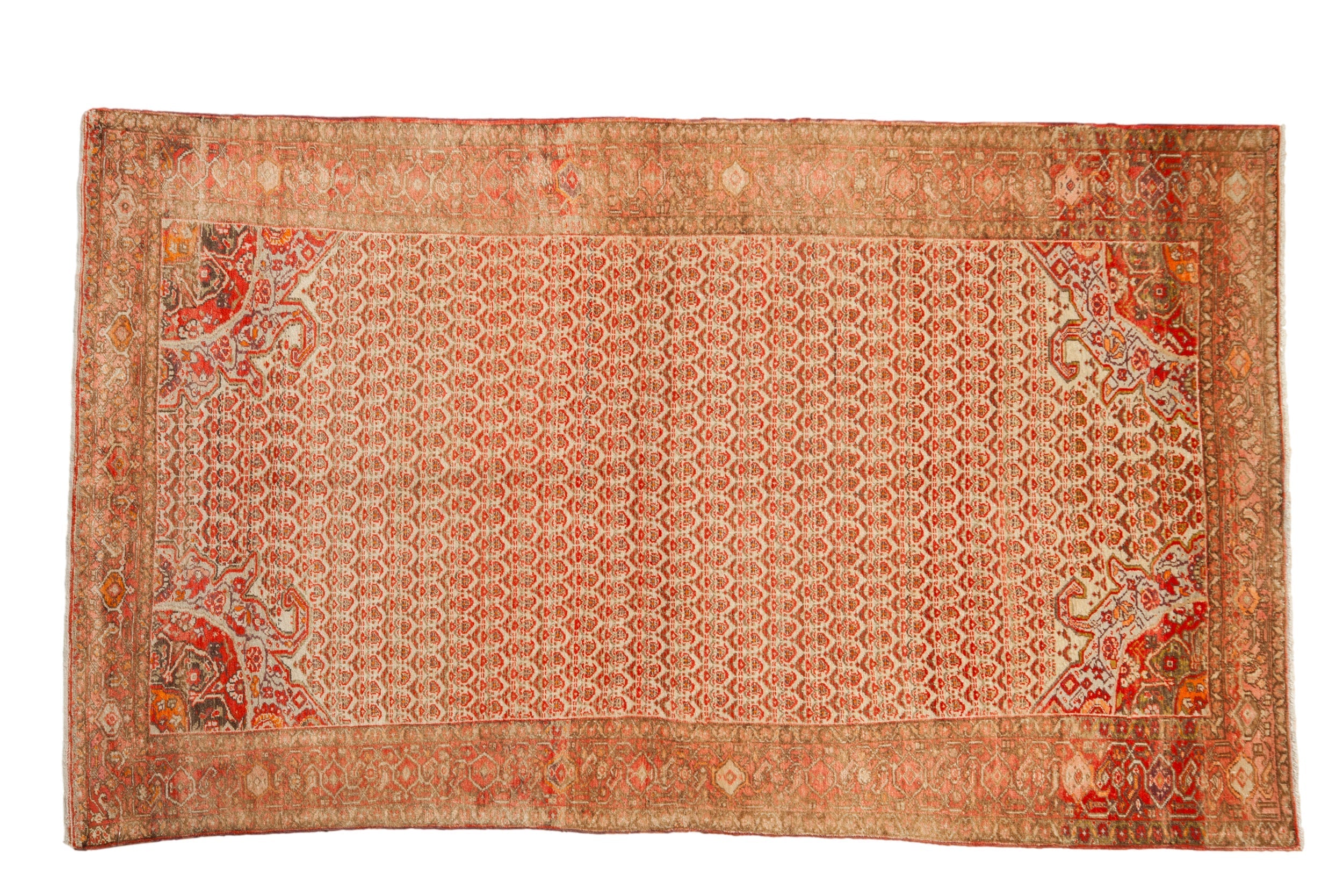 4x7 Vintage Distressed Malayer Rug by Old New House® - main product image for Resin Society