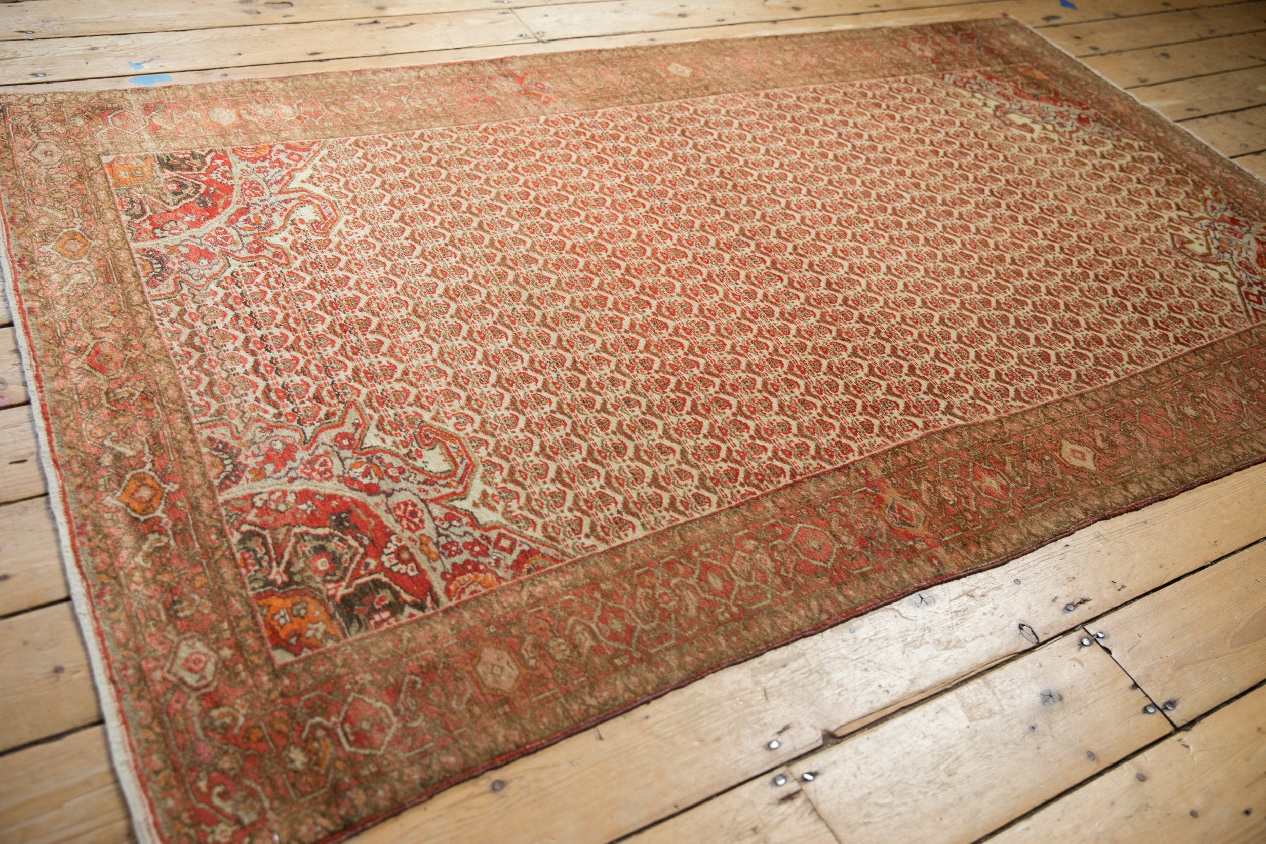 4x7 Vintage Distressed Malayer Rug by Old New House® - product image 9 for Resin Society