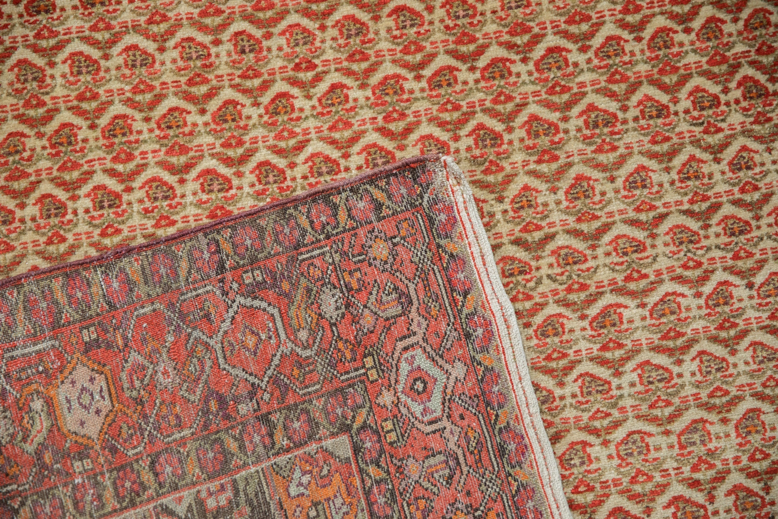 4x7 Vintage Distressed Malayer Rug by Old New House® - product image 12 for Resin Society
