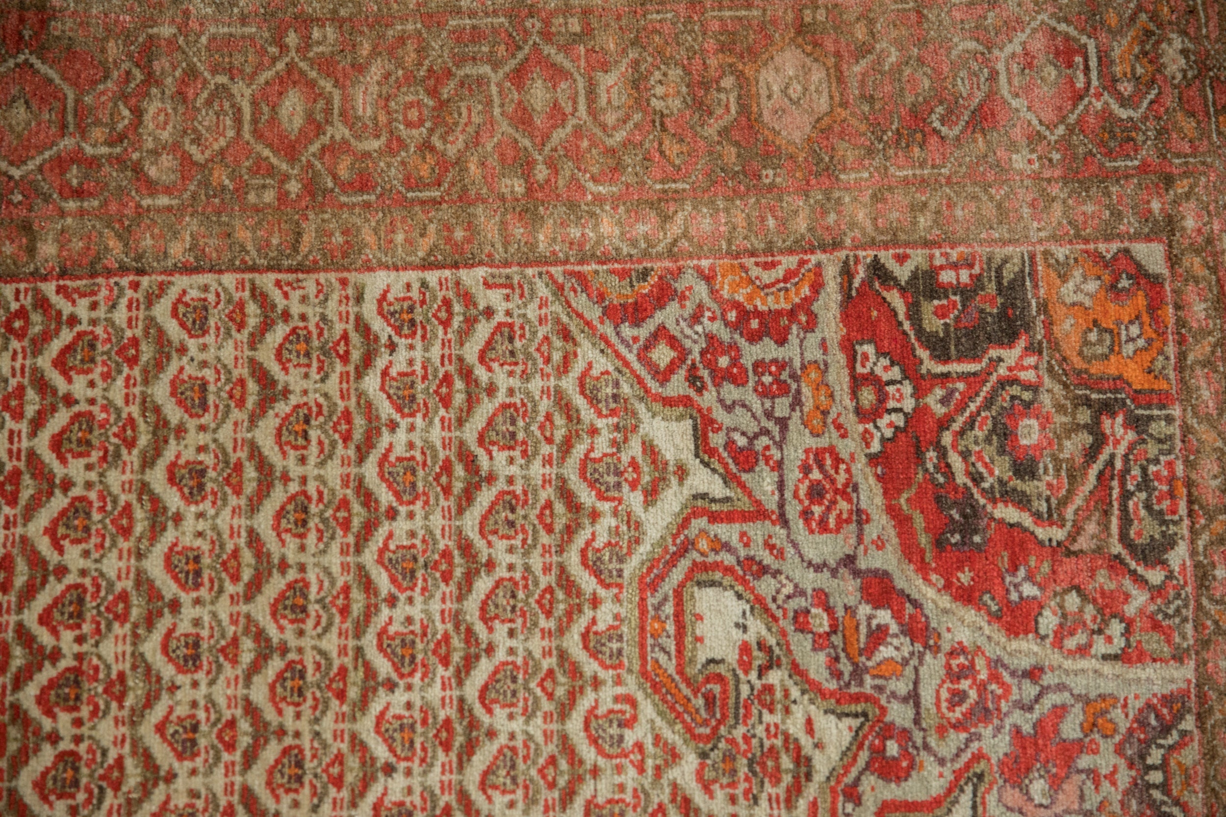 4x7 Vintage Distressed Malayer Rug by Old New House® - product image 13 for Resin Society