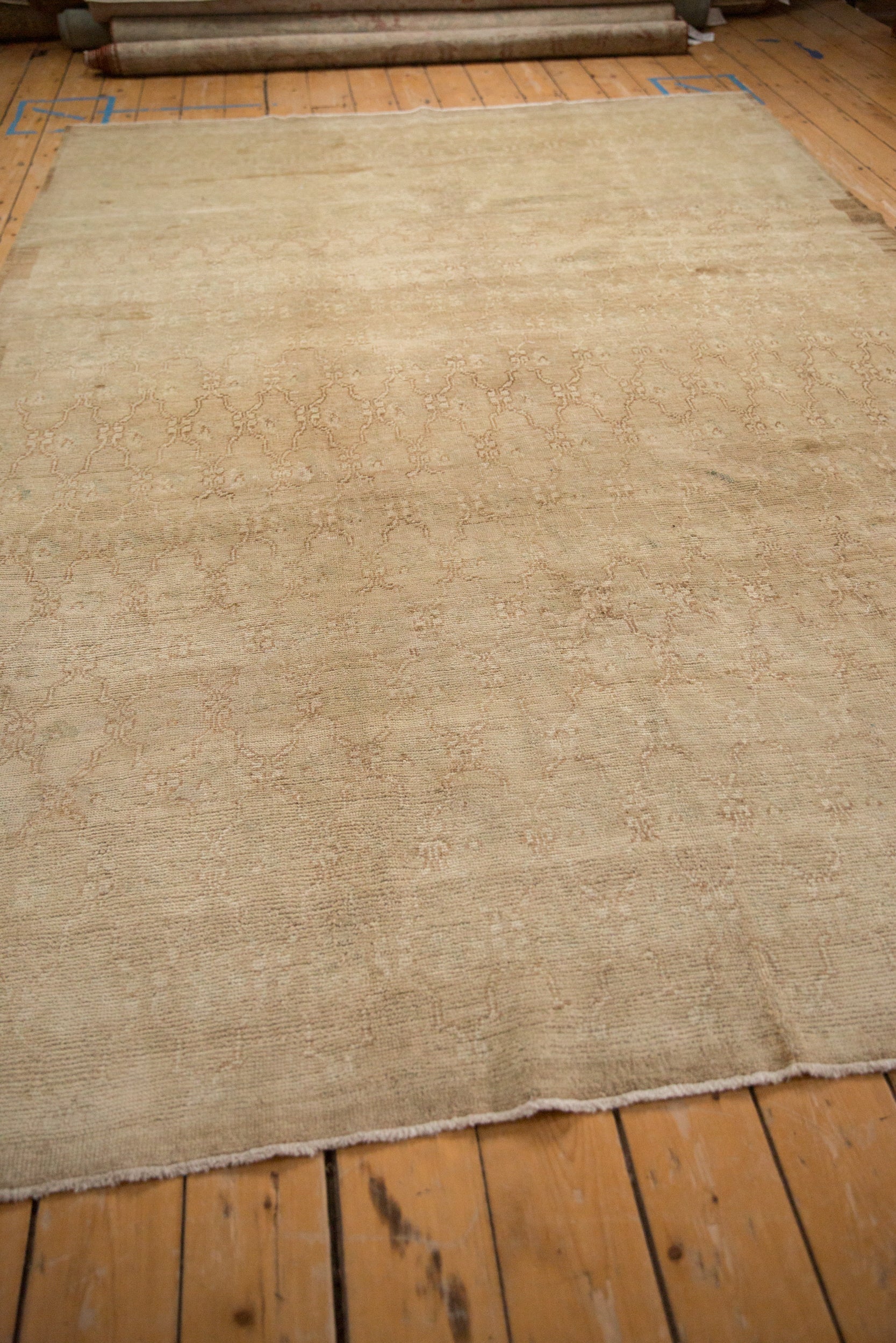 7x11 Vintage Distressed Kars Carpet by Old New House® - product image 8 for Resin Society
