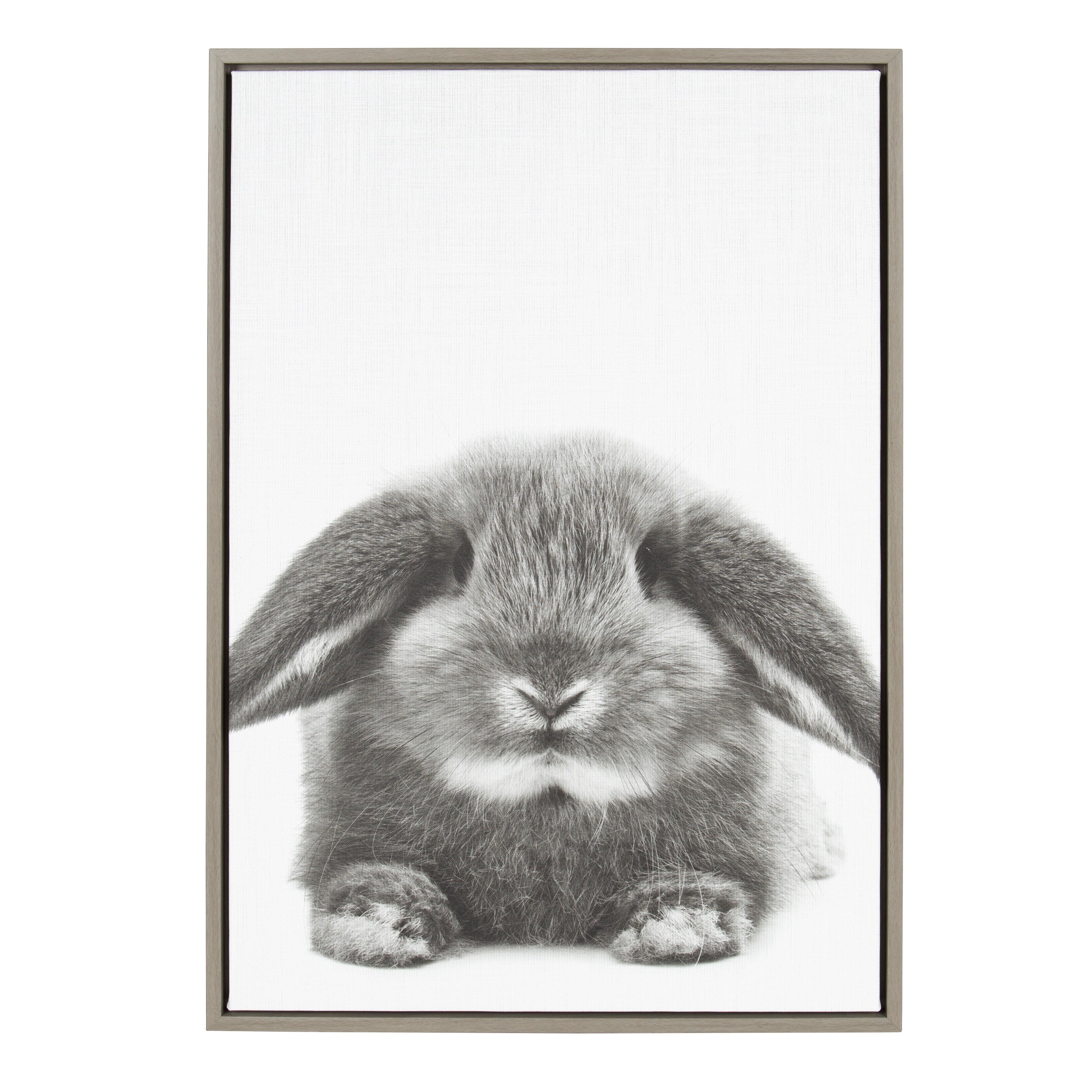 Sylvie Rabbit Framed Canvas by Simon Te of Tai Prints
