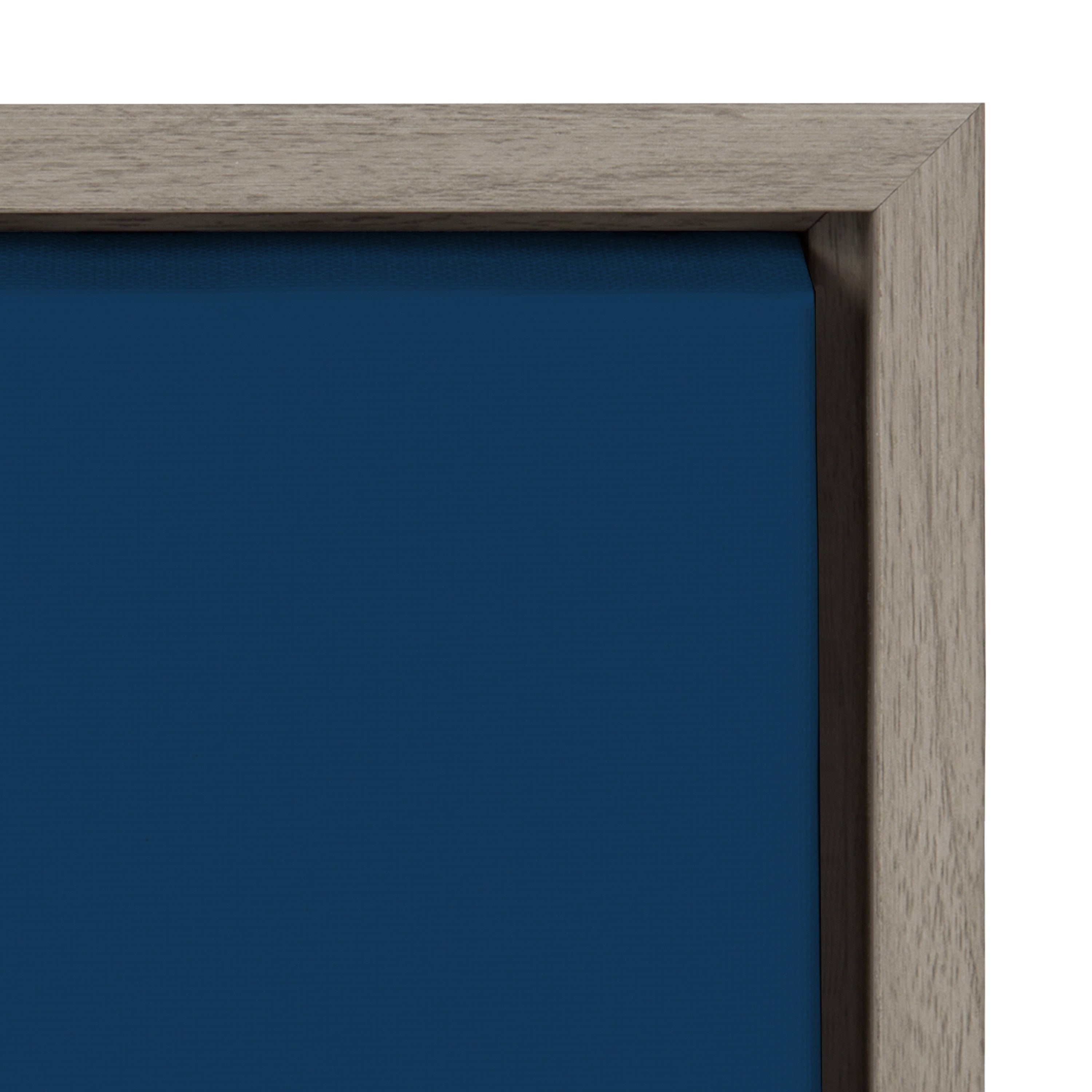 Sylvie Mid Century Modern Magnolias Framed Canvas by kateandlaurel - product image 3 for Resin Society