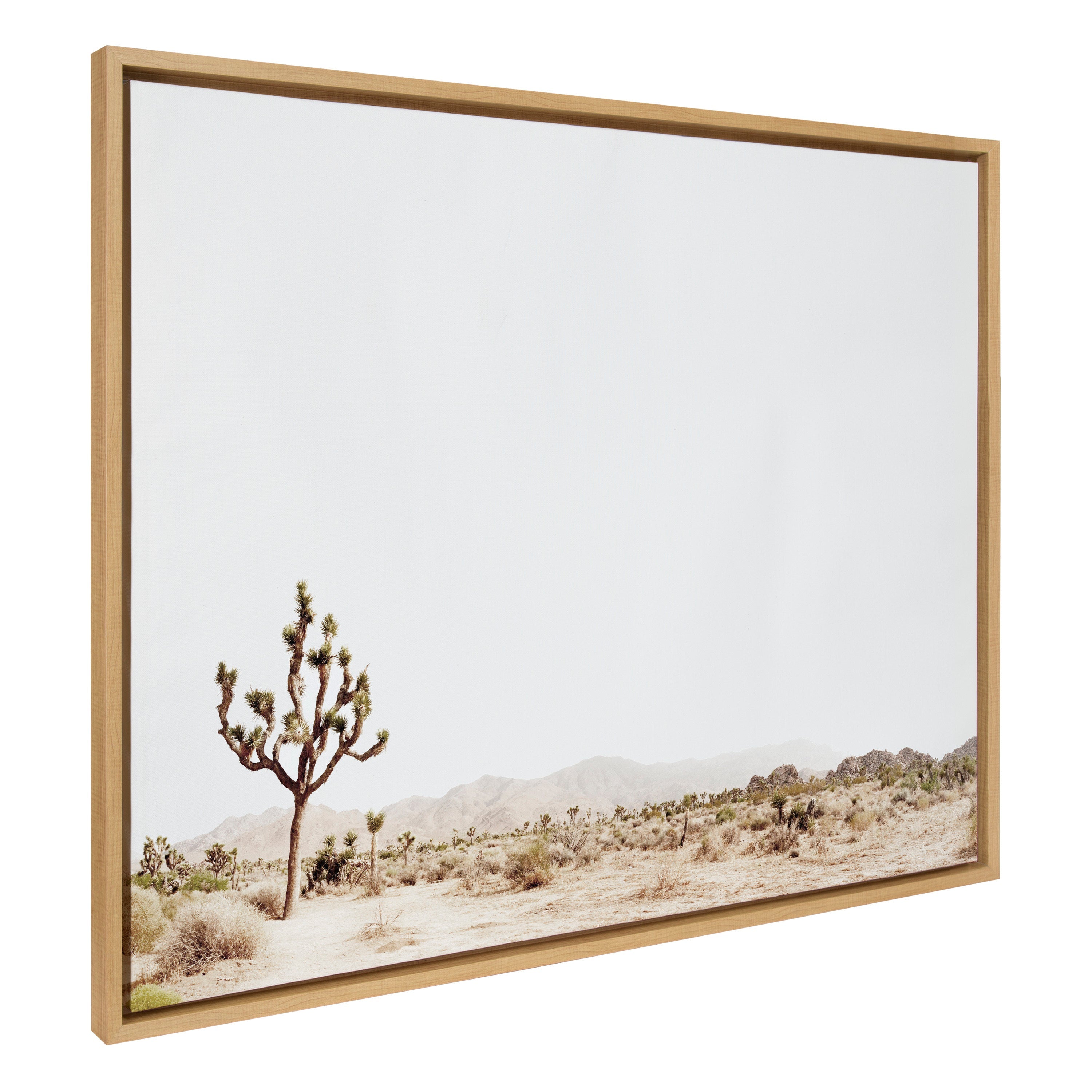 Sylvie Lone Joshua Tree Framed Canvas by Amy Peterson Art Studio by kateandlaurel - product image 17 for Resin Society