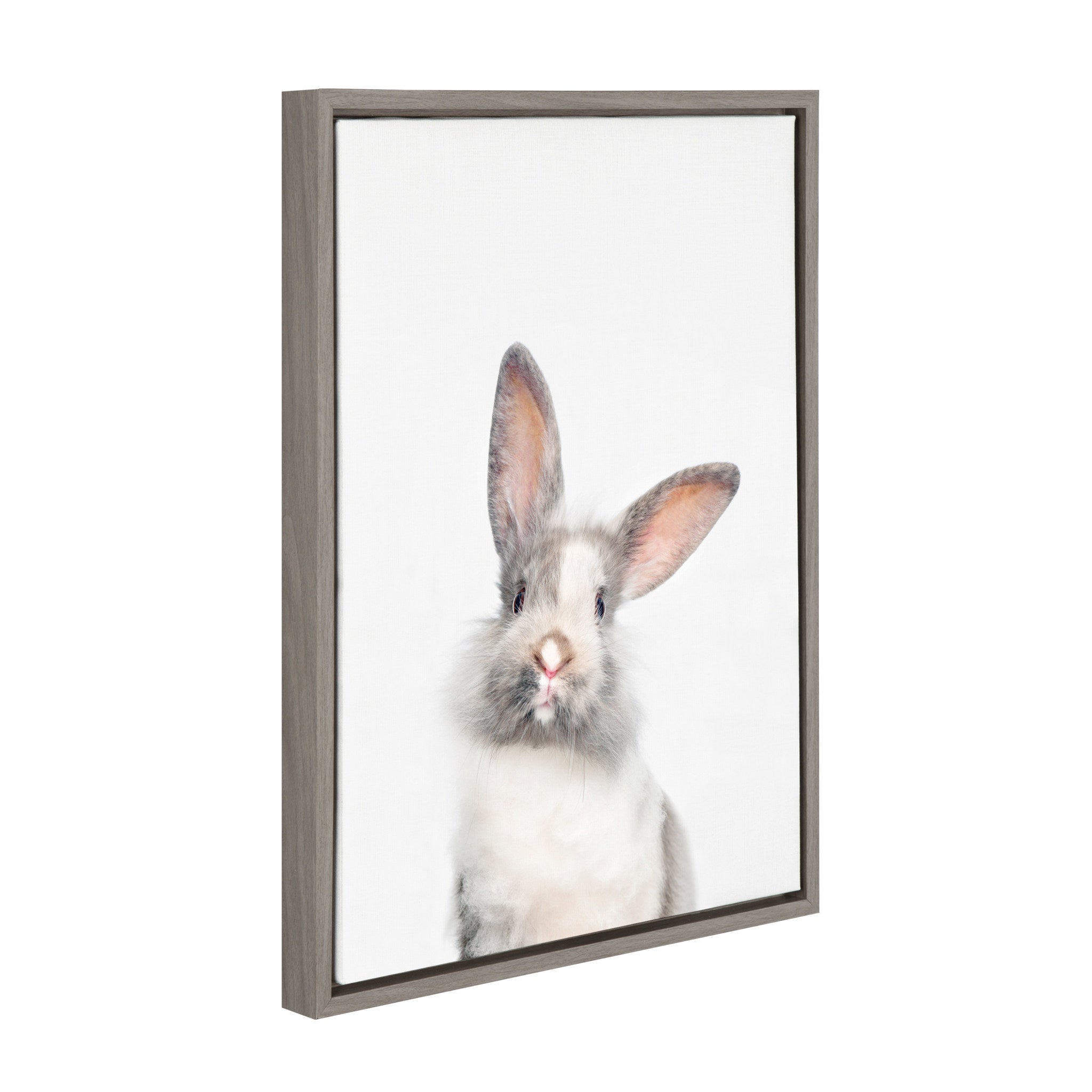 Sylvie Animal Studio Cute Male Rabbit Framed Canvas by kateandlaurel - product image 2 for Resin Society