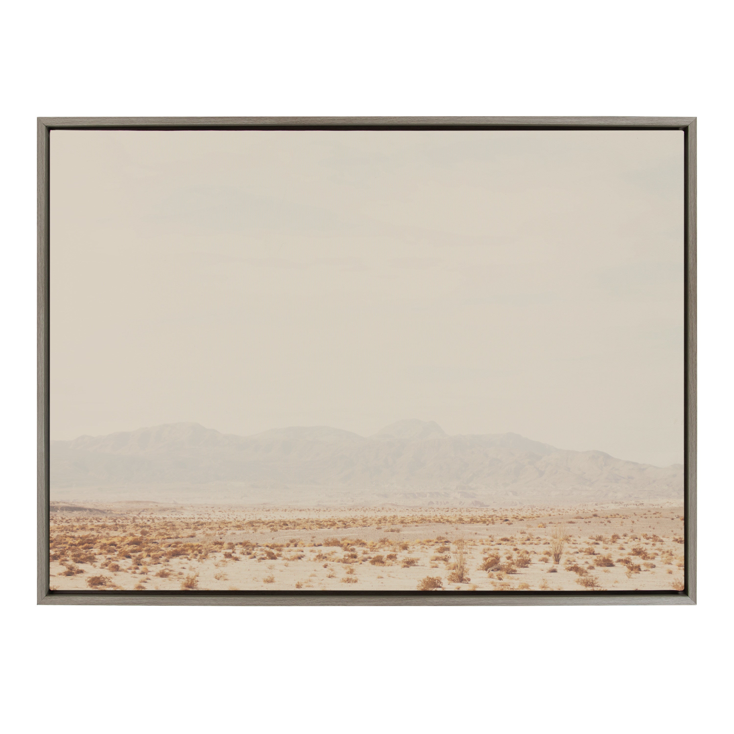 Sylvie California Dreaming Framed Canvas by Laura Evans