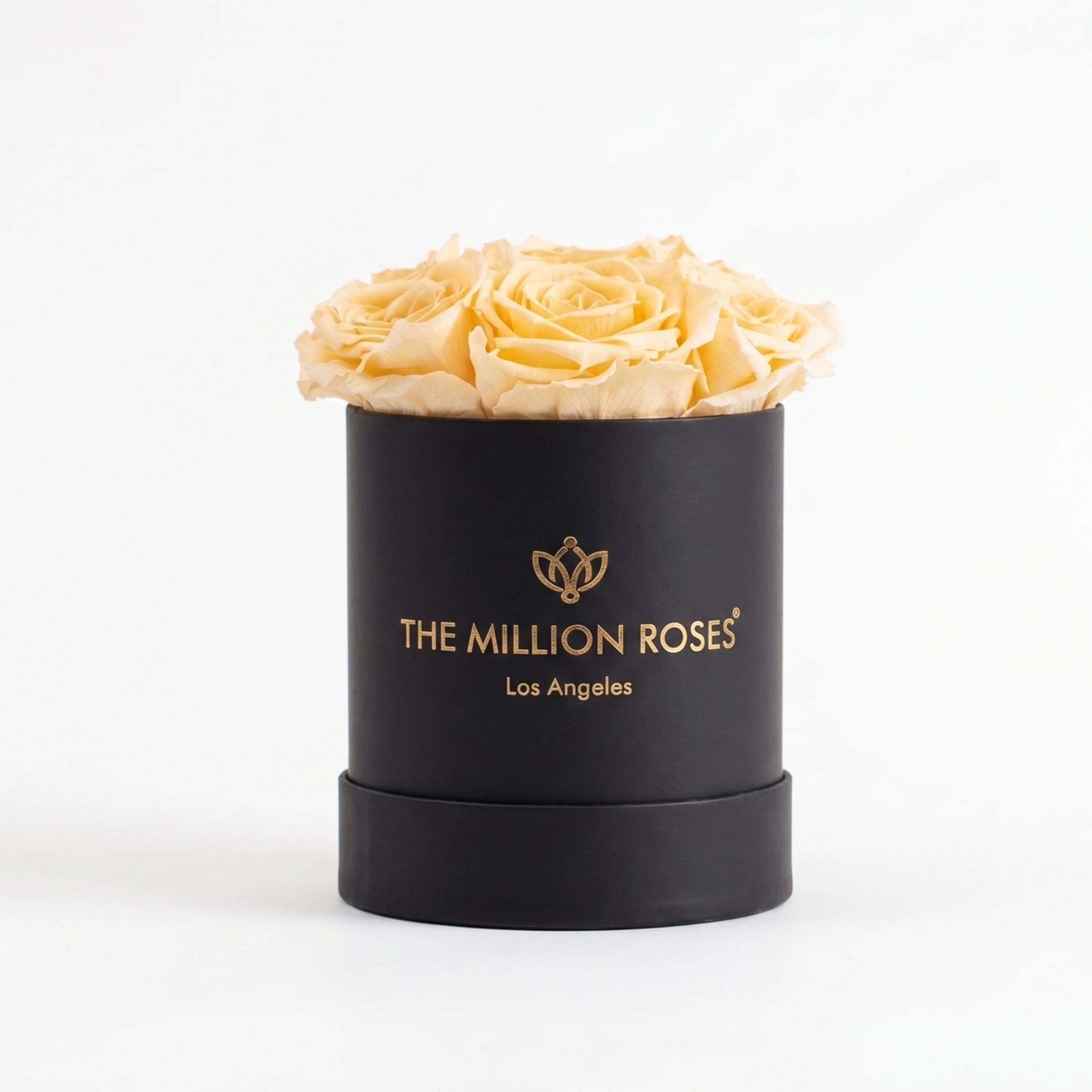 Essence Black Box with seven ivory roses arranged in a black box, photographed on a white surface.