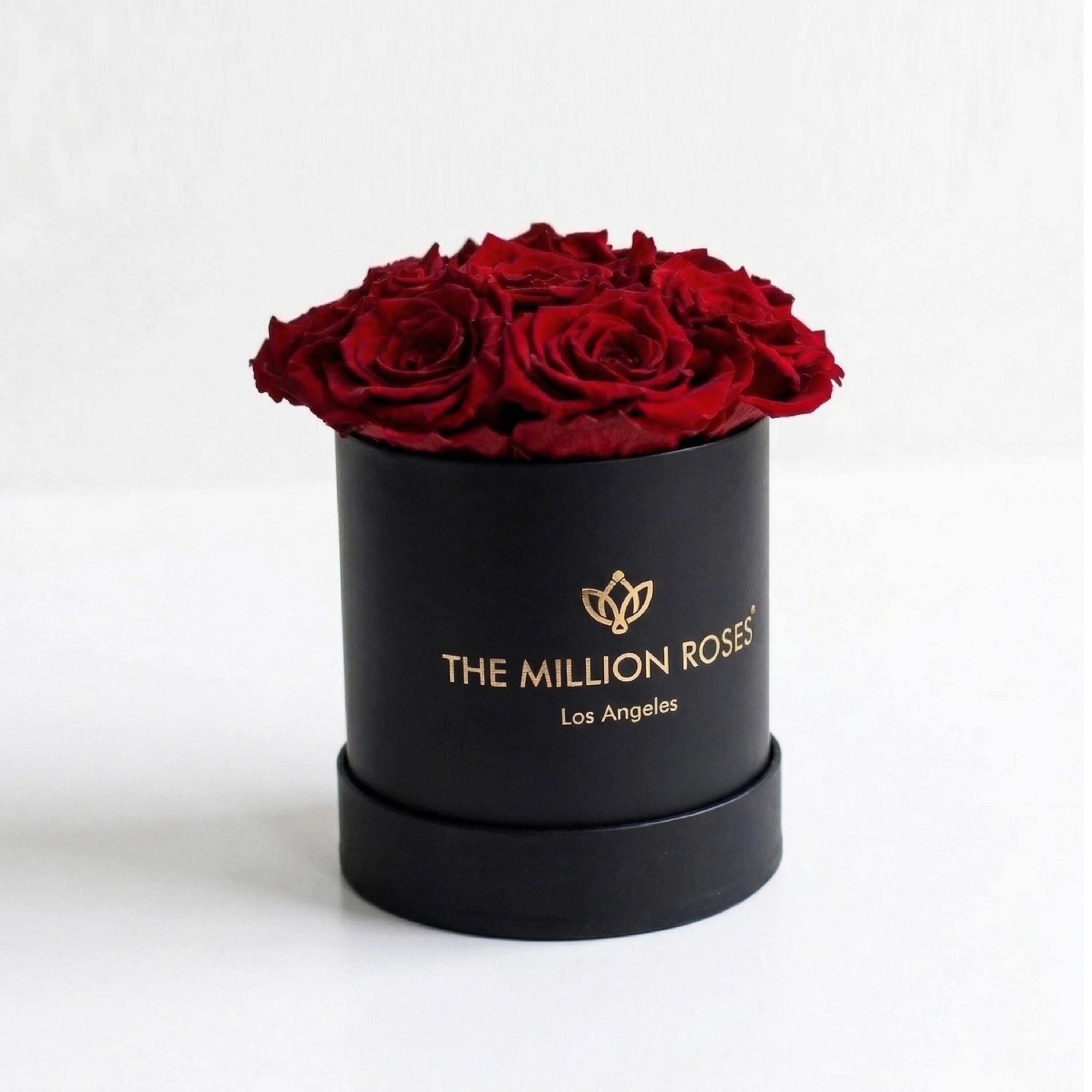 Essence Black Box with seven red roses arranged in a black square box