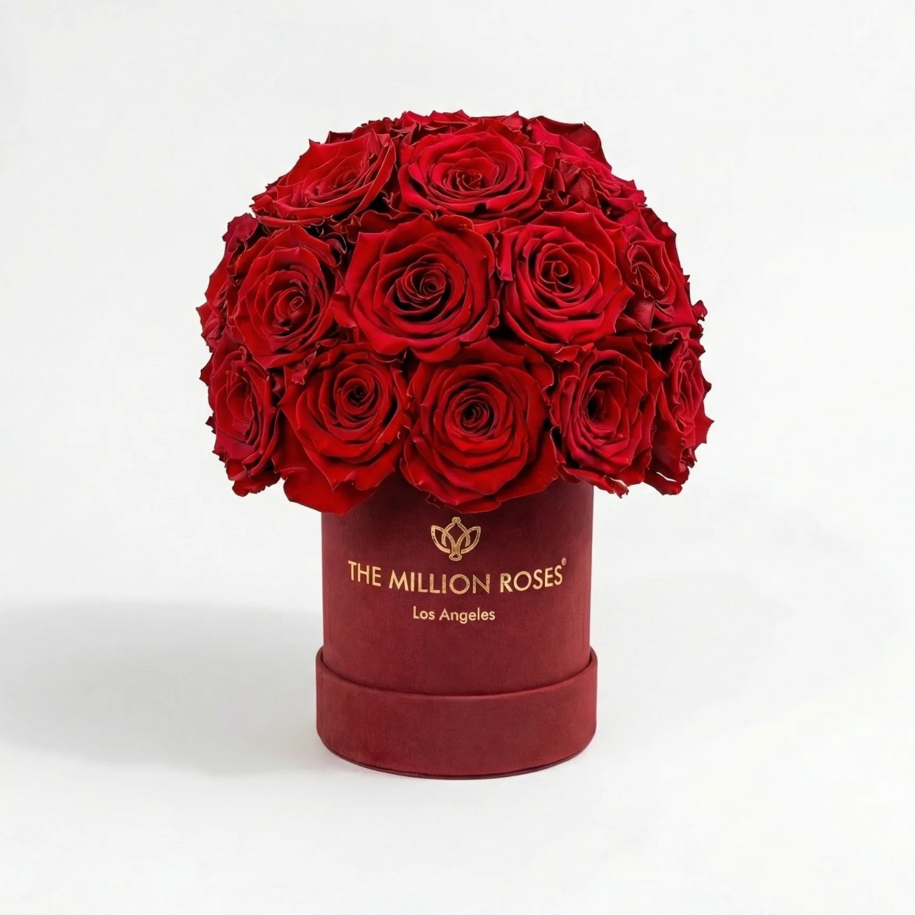 Essence Bordeaux Suede Superdome Box with red roses arranged in a rounded dome shape inside a burgundy suede box