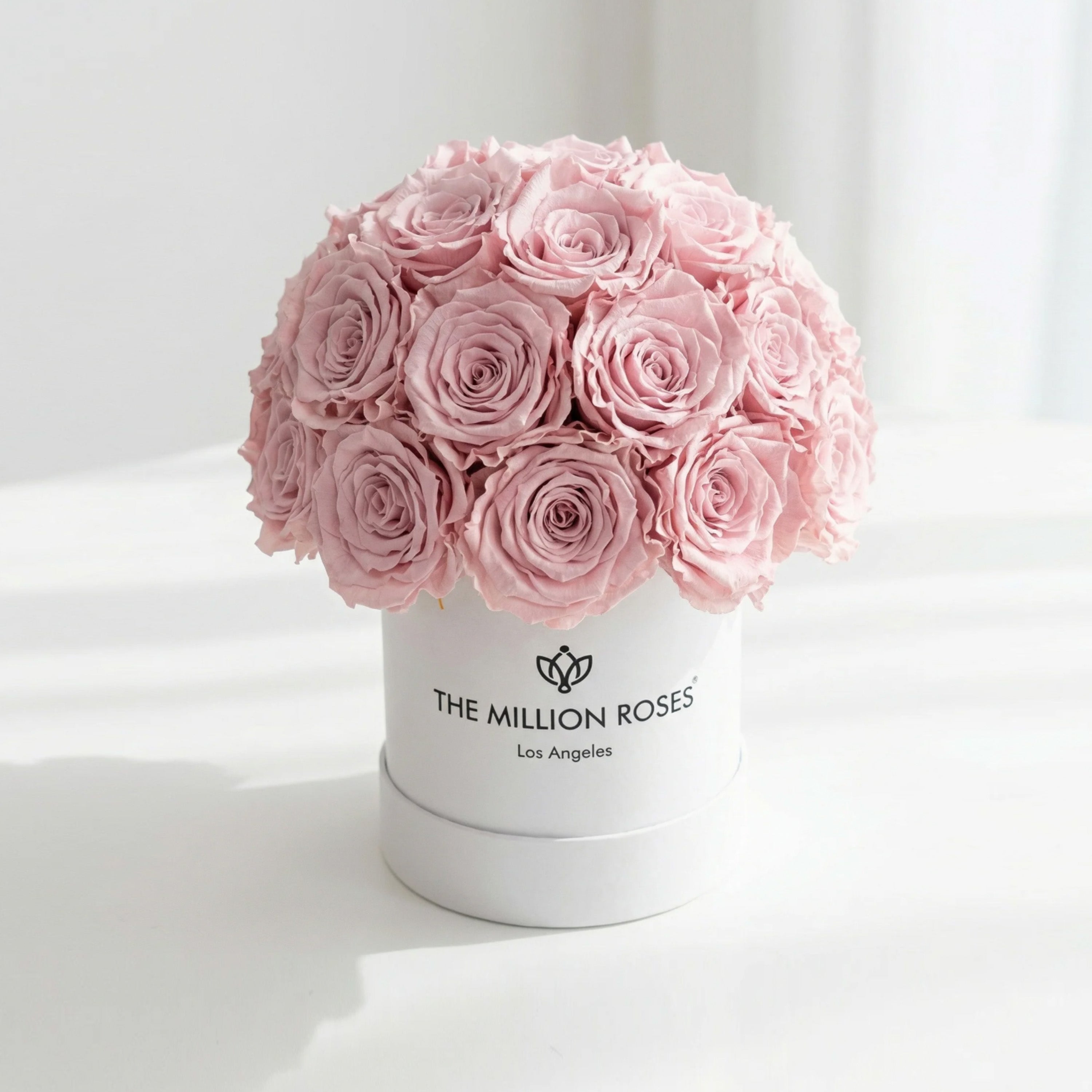 Essence White Superdome Box filled with light pink roses arranged in a rounded dome shape