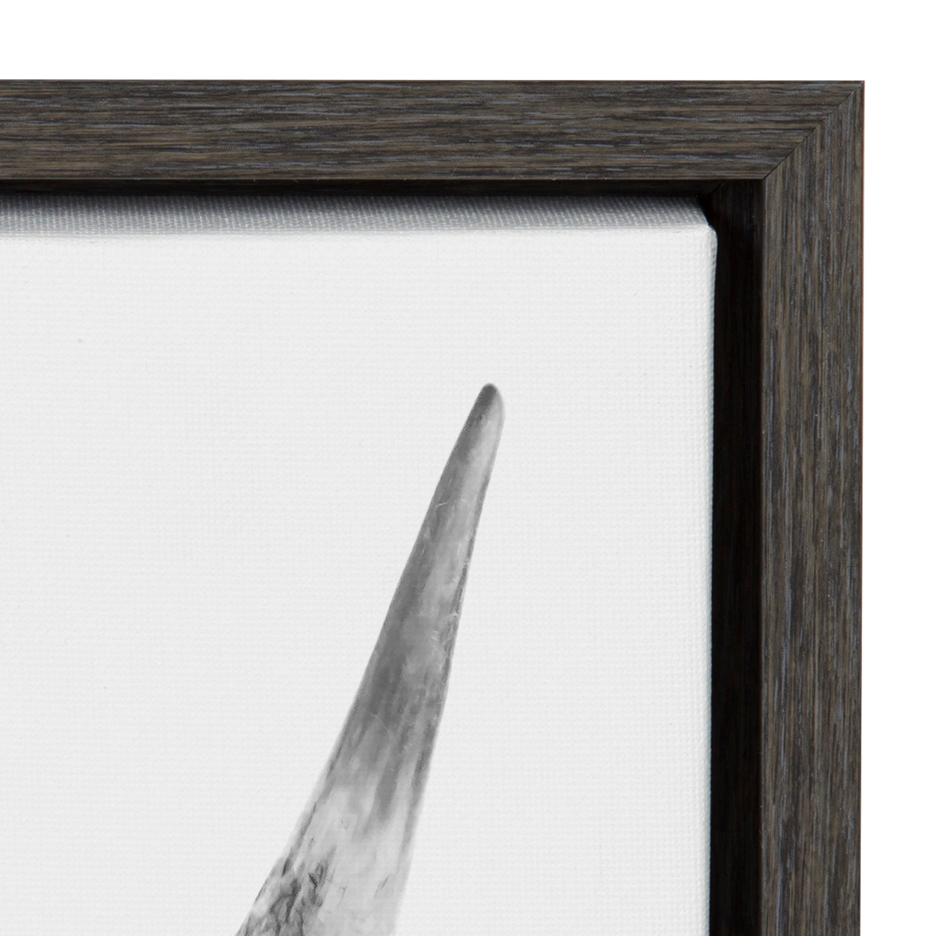 Sylvie Highland Cow Portrait Framed Canvas by Amy Peterson Art Studio by kateandlaurel - product image 15 for Resin Society