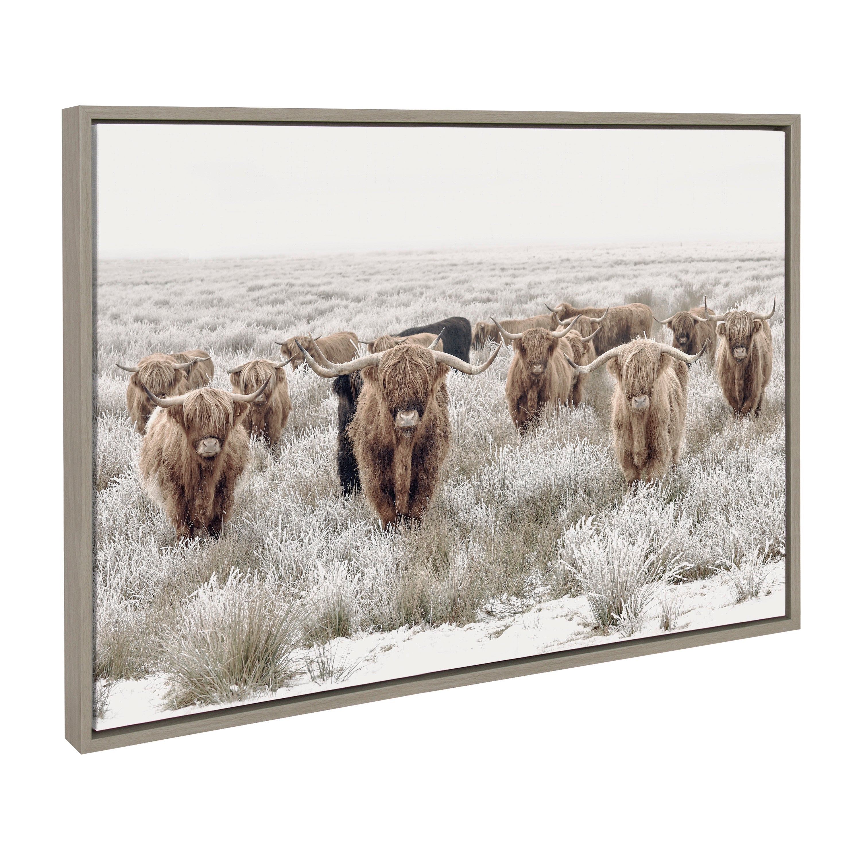Sylvie Texas Longhorn, Highland Cow Portrait Close Color and Herd of Highland Cows Color Framed Canvas Art Set