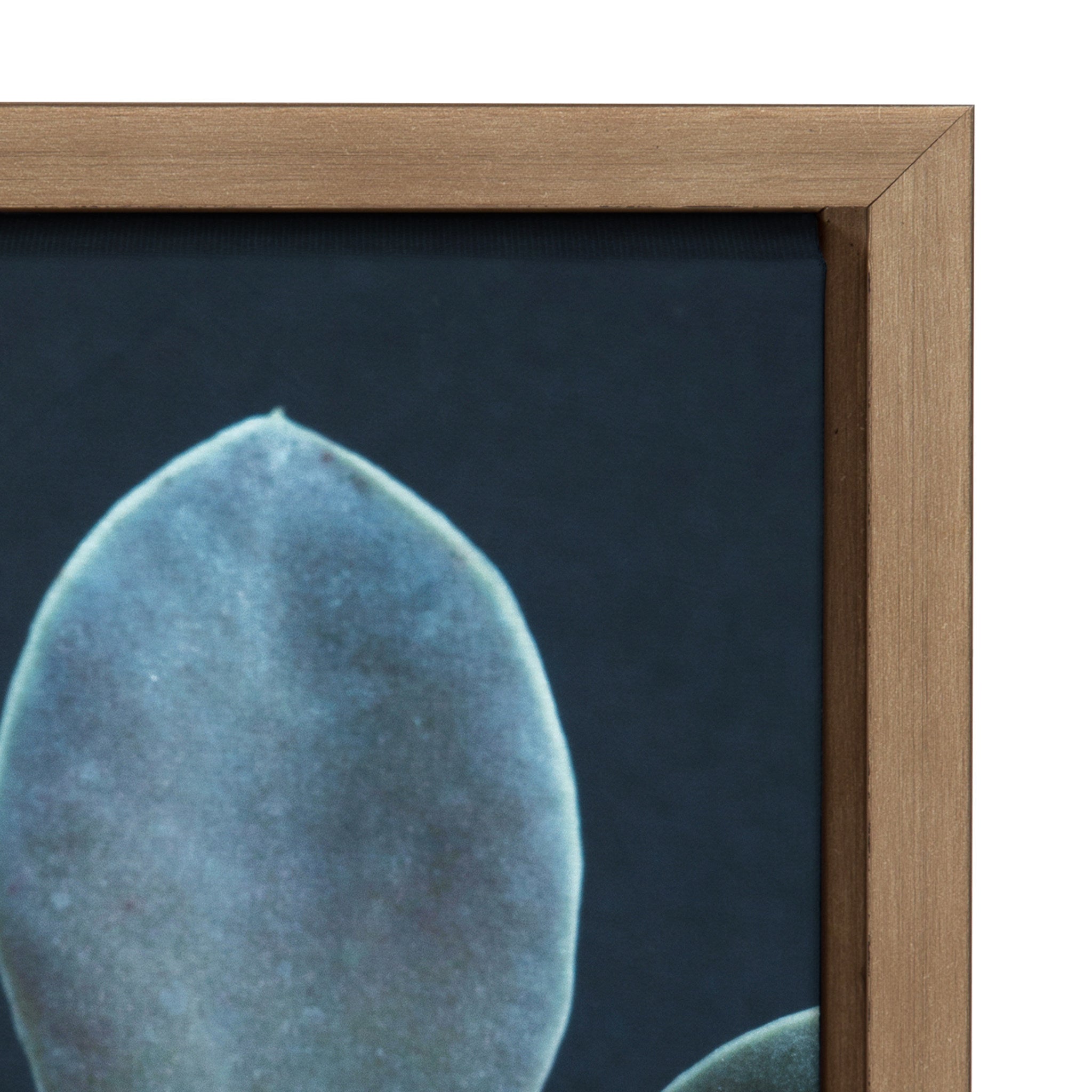 Sylvie Little One Framed Canvas by kateandlaurel - product image 3 for Resin Society