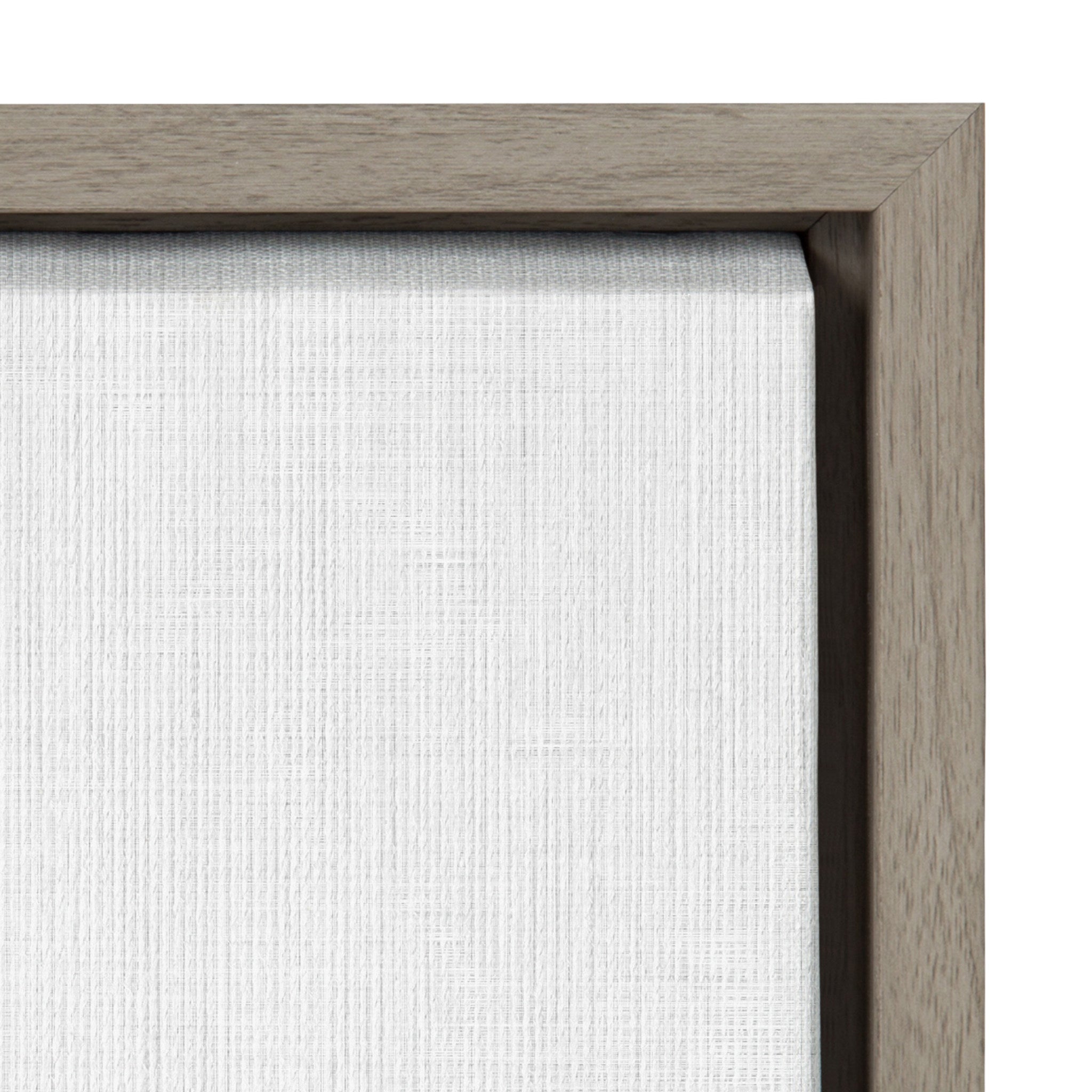 Sylvie Alpaca Portrait Set Framed Canvas By Simon Te by kateandlaurel - product image 3 for Resin Society