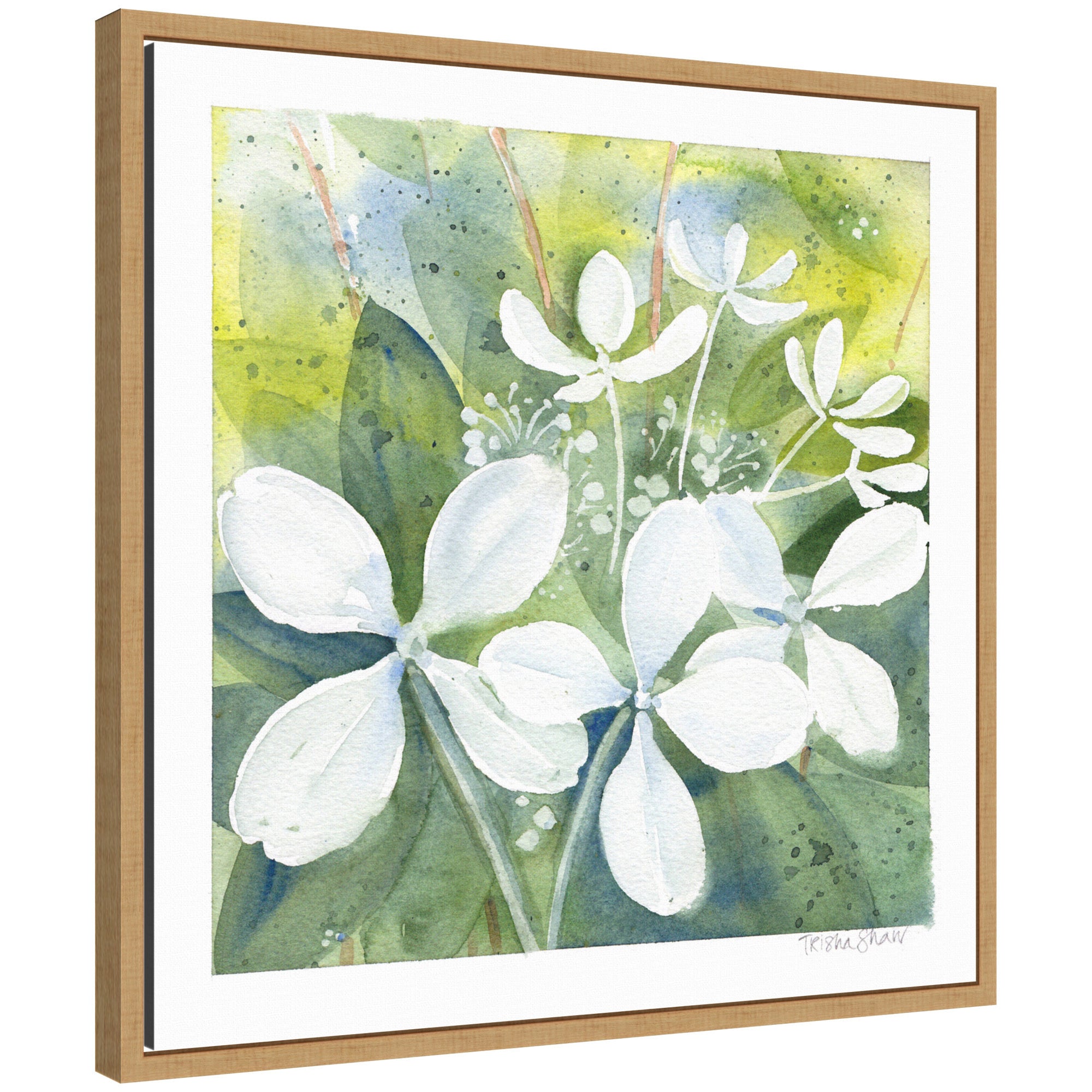 Framed canvas art depicting Sylvie White Phantom Hydrangea in green tones by Patricia Shaw
