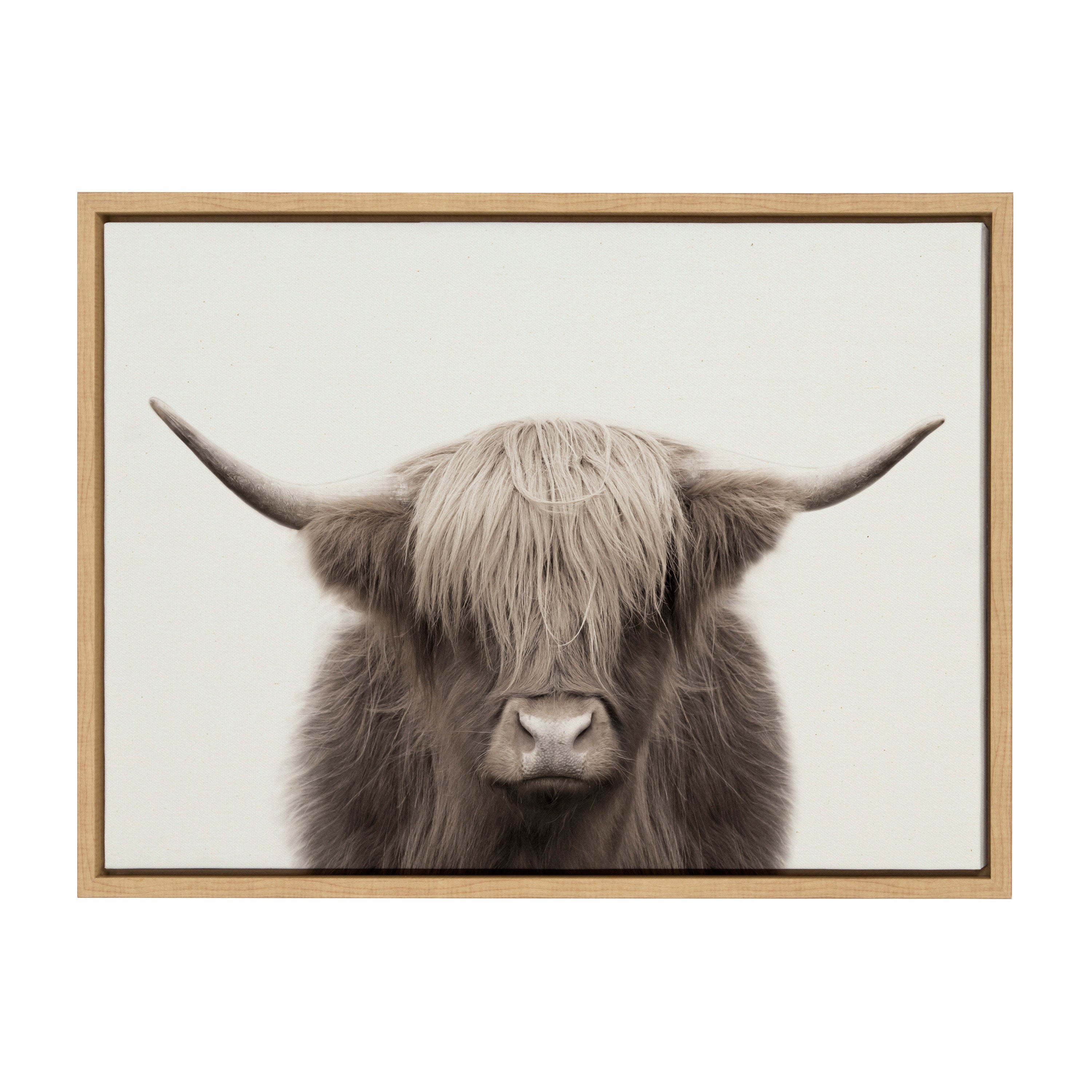 Sylvie Hey Dude Highland Cow Color Framed Canvas by The Creative Bunch
