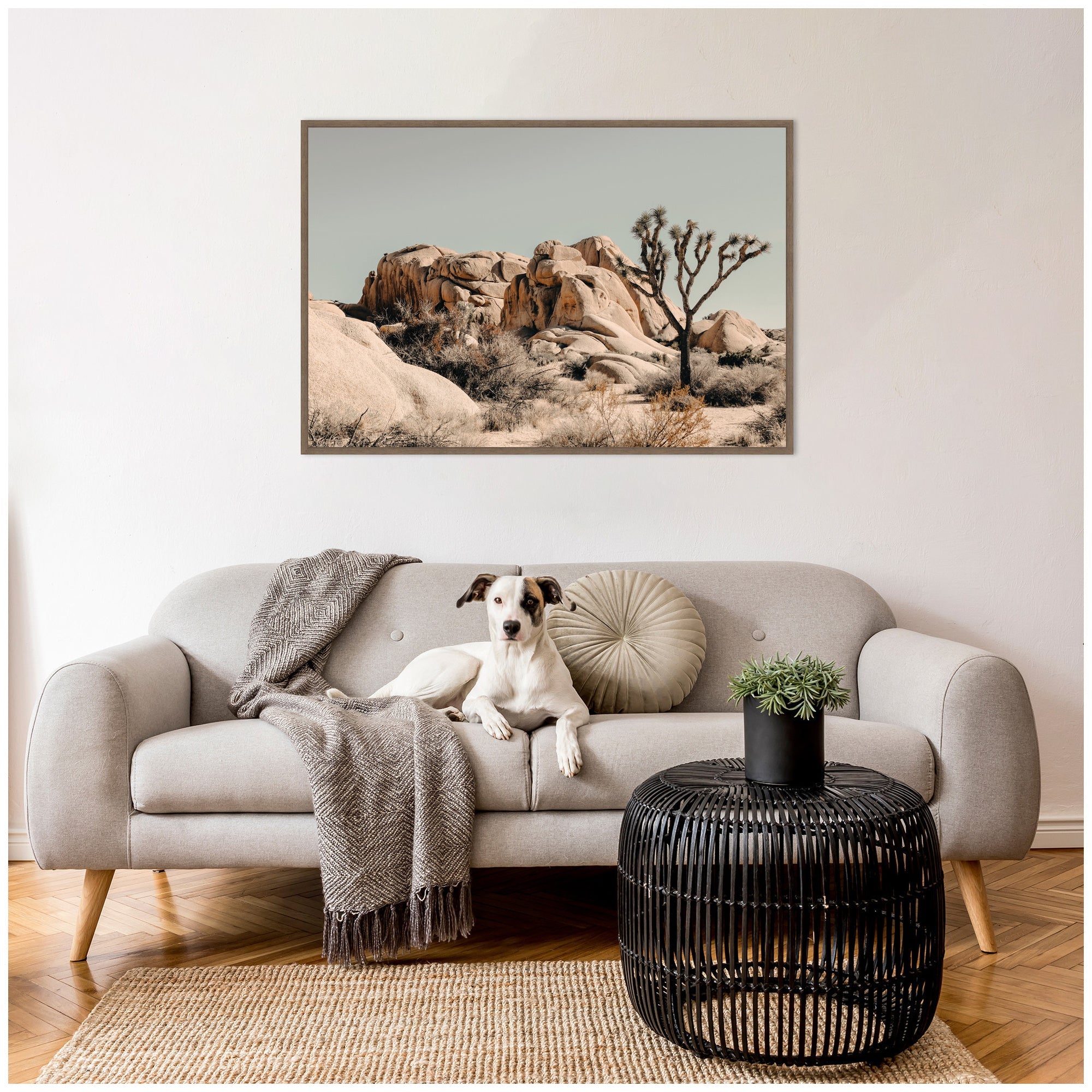 Joshua Tree No.
3 by Alicia Bock Framed Canvas Wall Art Print