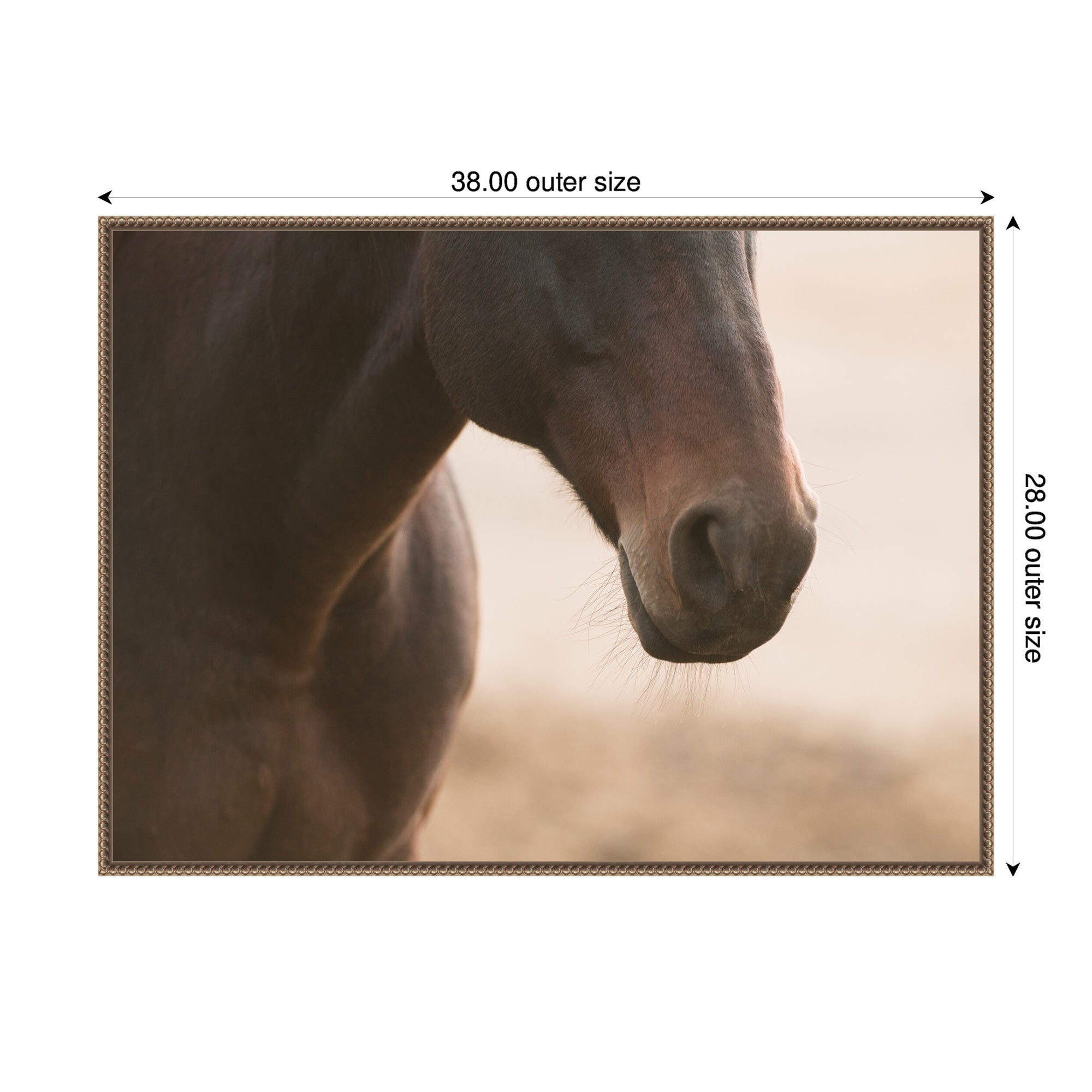 Dusty by Crystal Lynn Collins Framed Canvas Wall Art Print