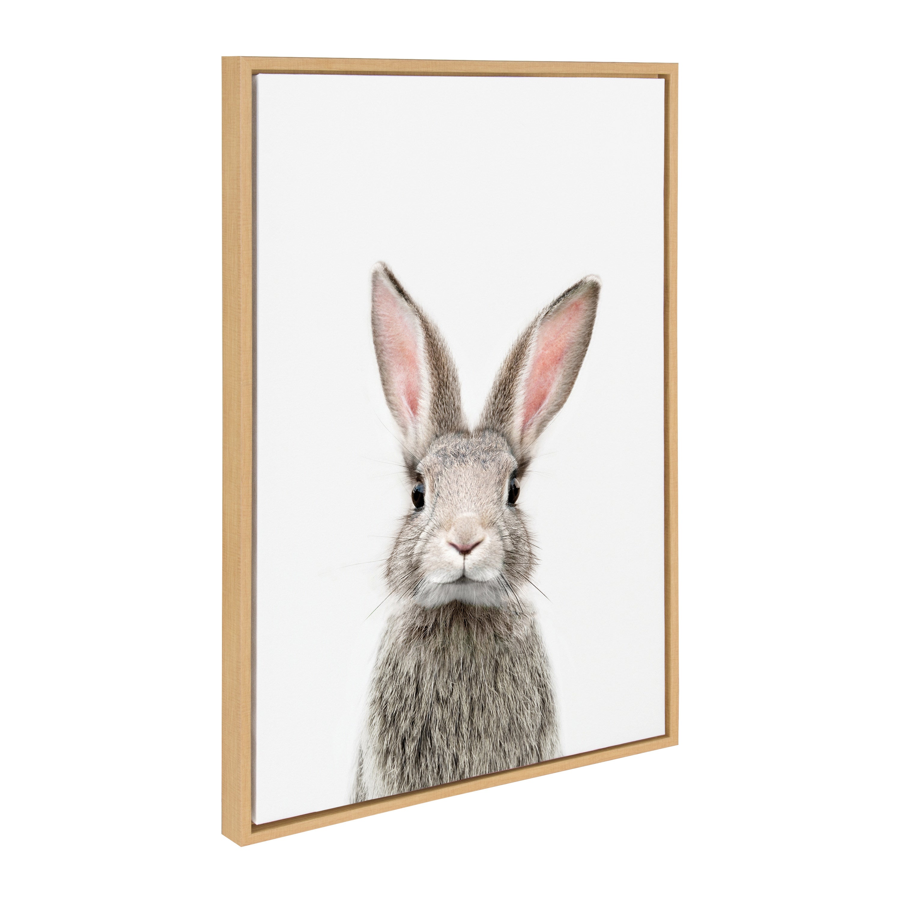 Sylvie Young Rabbit Framed Canvas by Amy Peterson Art Studio