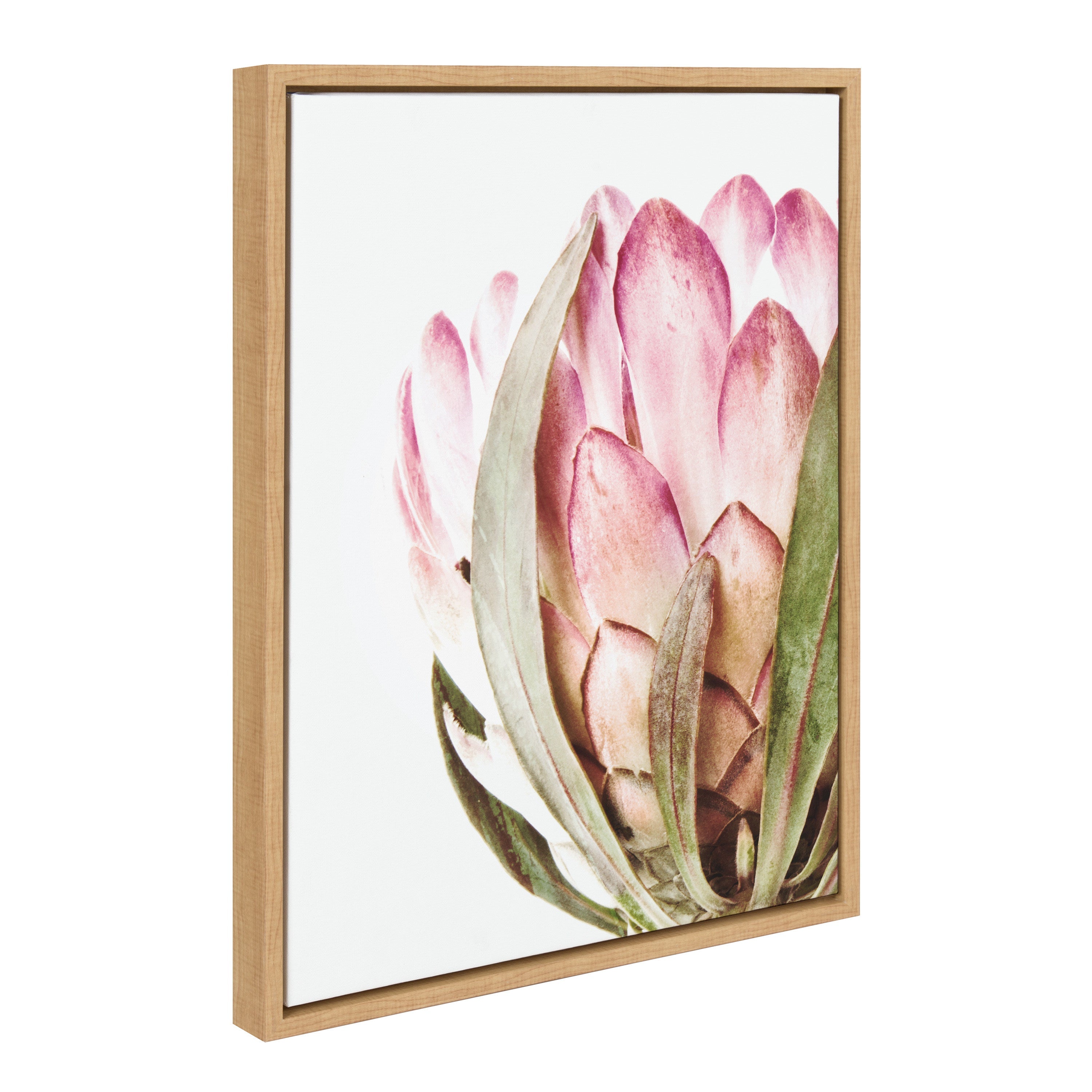 Sylvie Pink Protea Flower Framed Canvas by Amy Peterson by kateandlaurel - product image 19 for Resin Society
