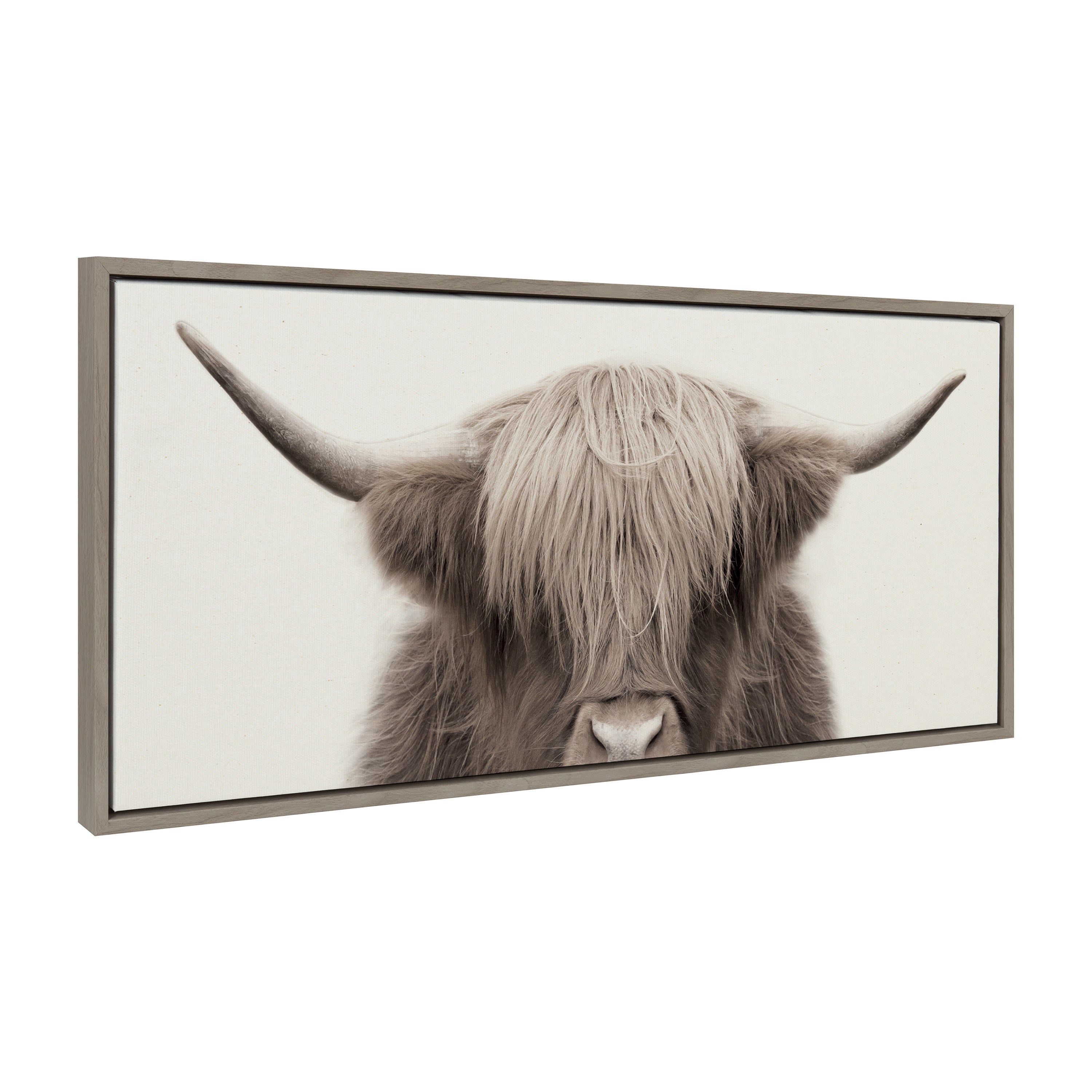 Sylvie Hey Dude Highland Cow Color Framed Canvas by The Creative Bunch