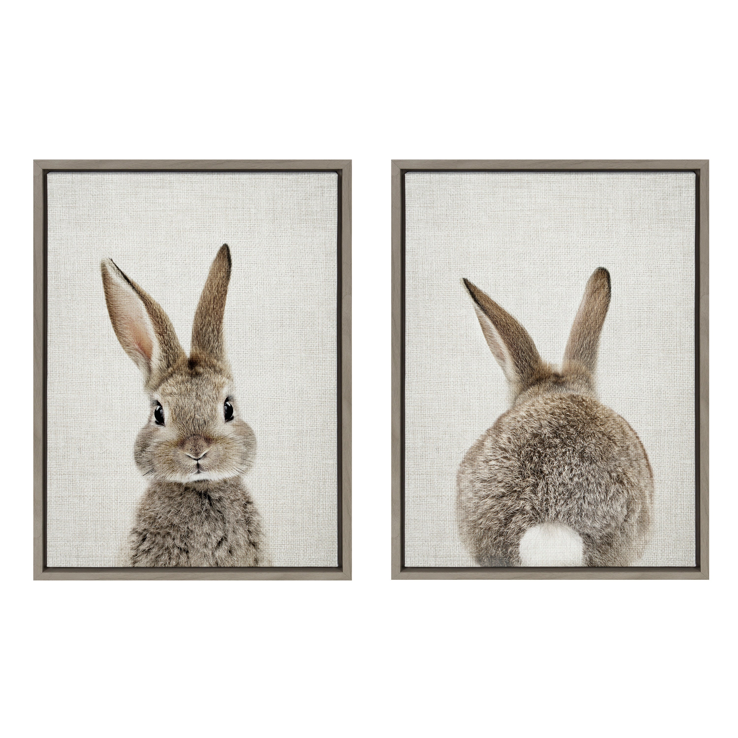 Sylvie Bunny Portrait and Bunny Tail Framed Canvas Art Set by Amy Peterson Art Studio