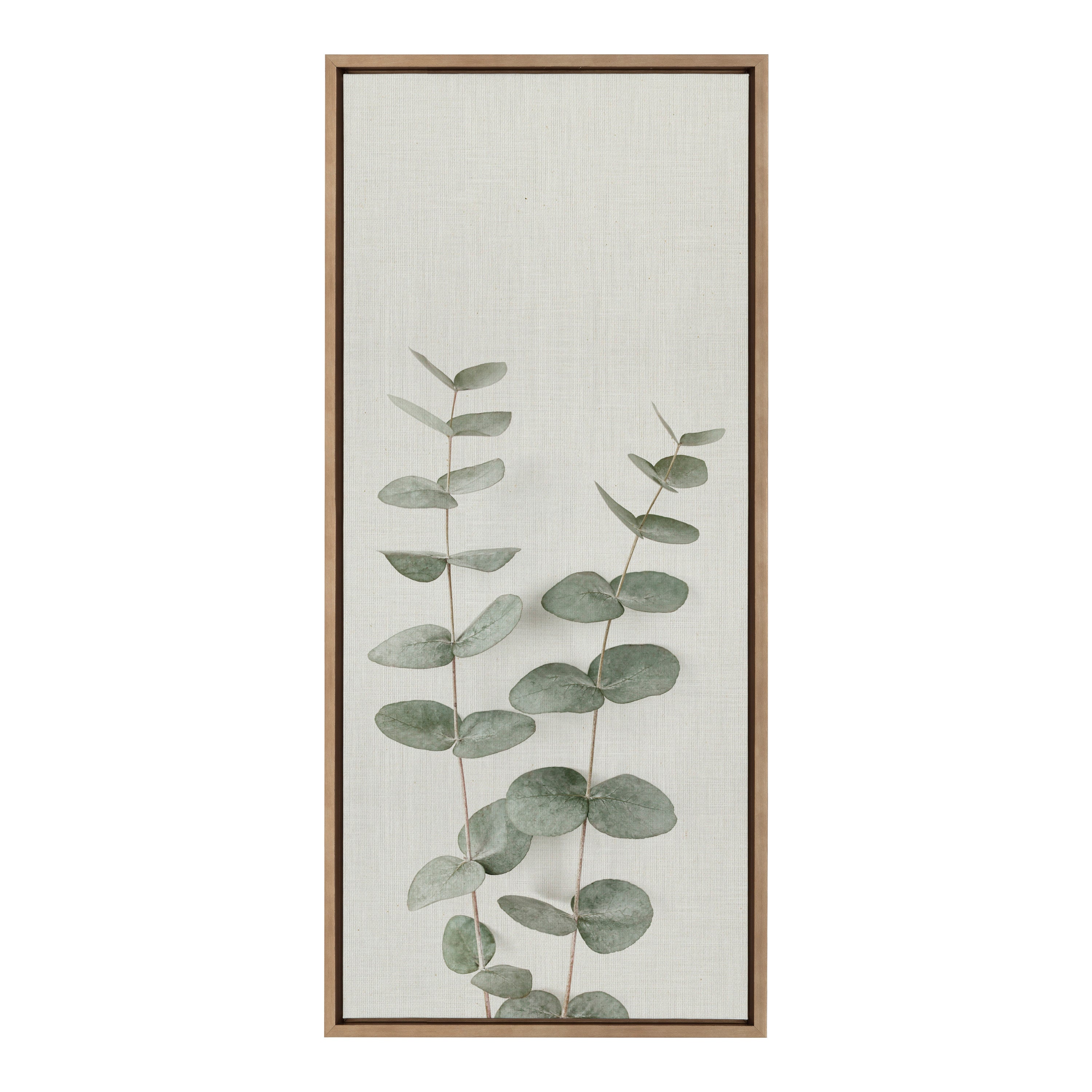 Sylvie Eucalyptus Botanical II Framed Canvas by The Creative Bunch