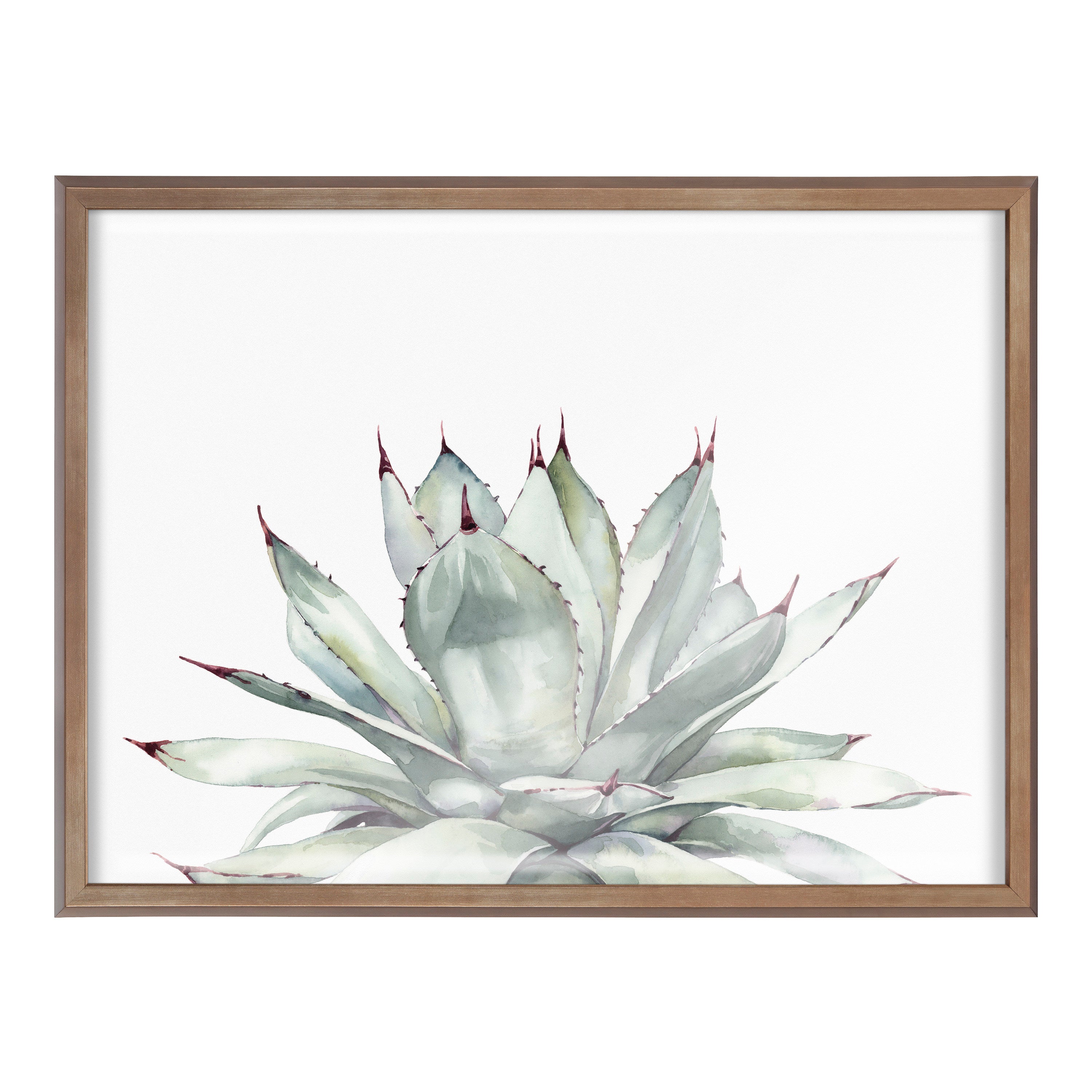 Blake Parrys Agave Framed Printed Glass by kateandlaurel - product image 15 for Resin Society