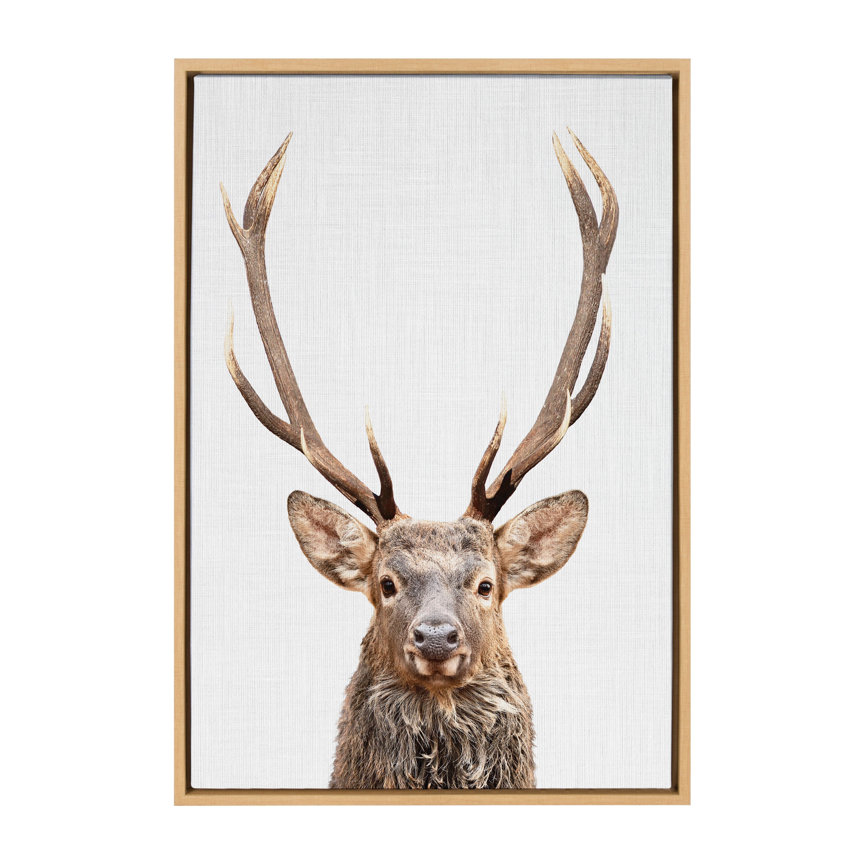 Sylvie The Red Deer Color Framed Canvas by Simon Te of Tai Prints by kateandlaurel - product image 8 for Resin Society