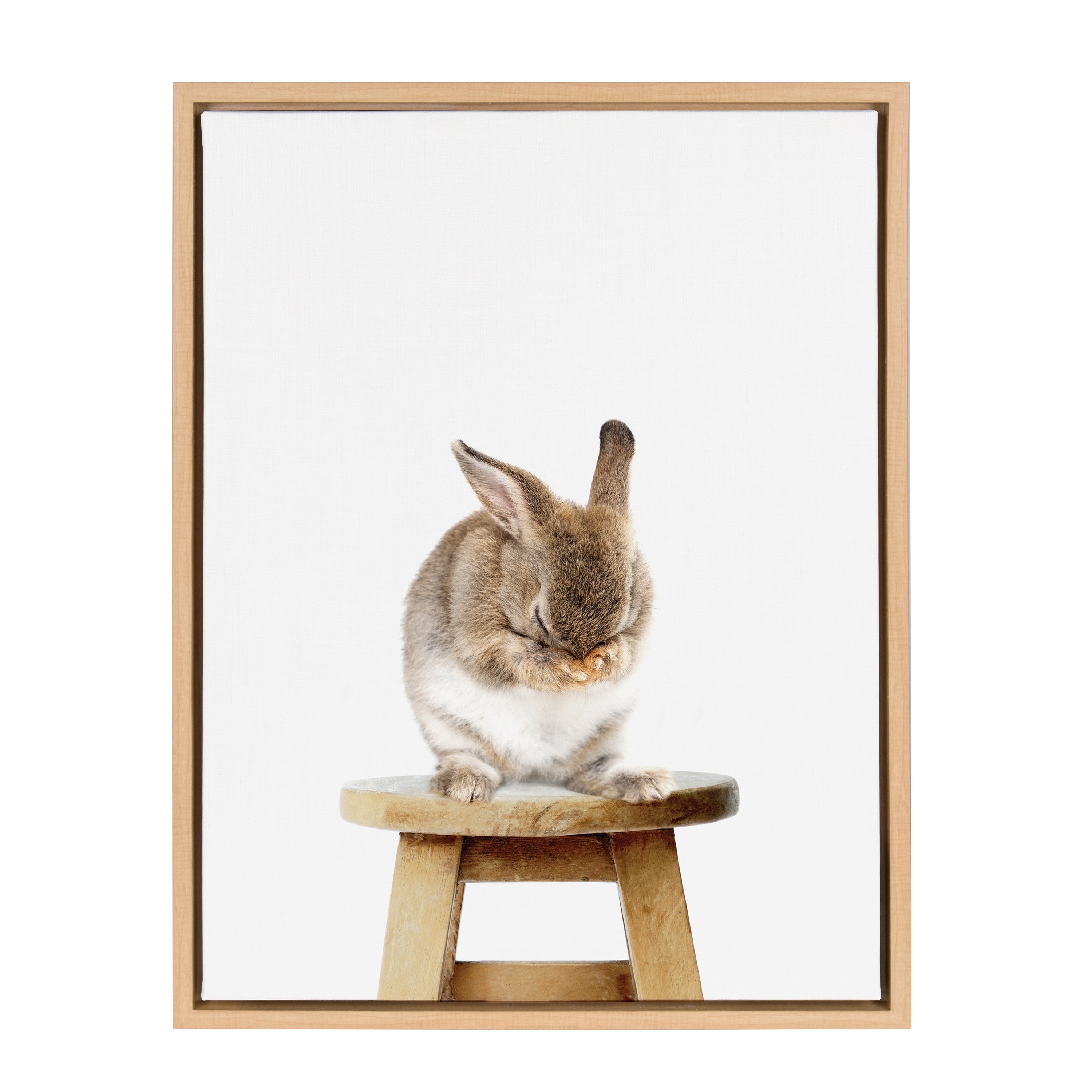 Sylvie Shy Rabbit Framed Canvas by Amy Peterson by kateandlaurel - product image 8 for Resin Society