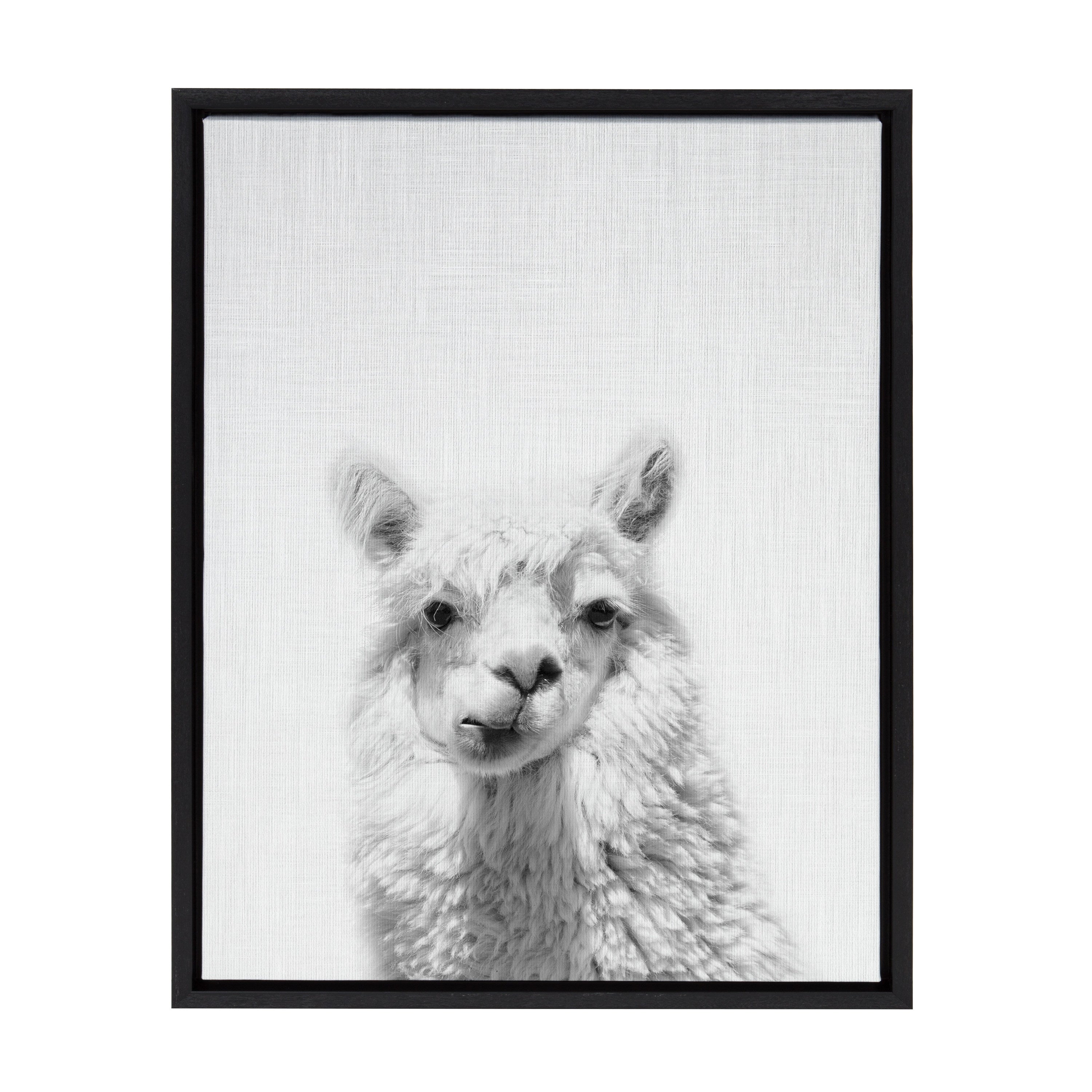 Framed canvas art of a handsome alpaca by Simon Te, displaying the animal with a calm expression against a muted background.