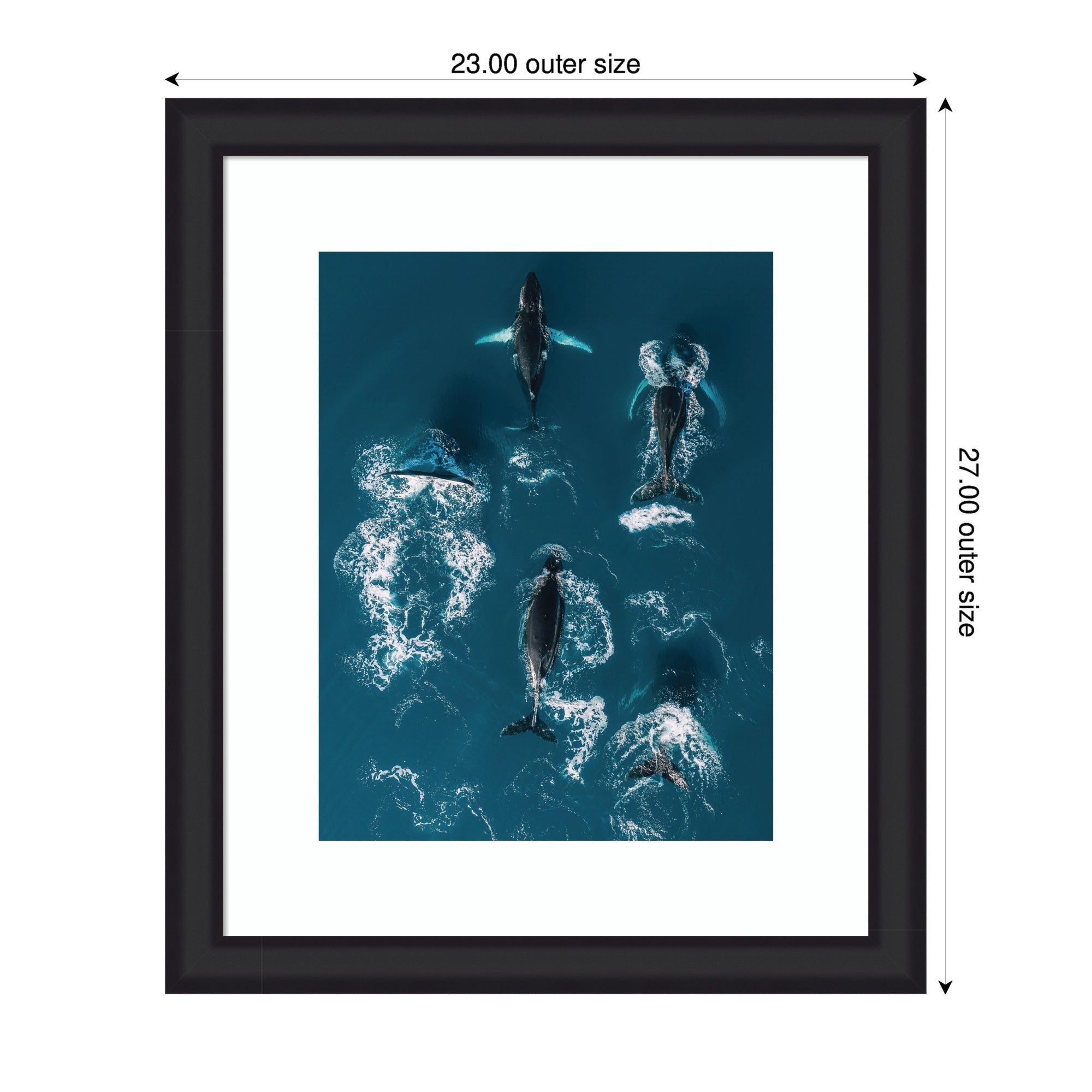 Framed Art School of Humpback Whales in the Blue Ocean by Michael Schauer