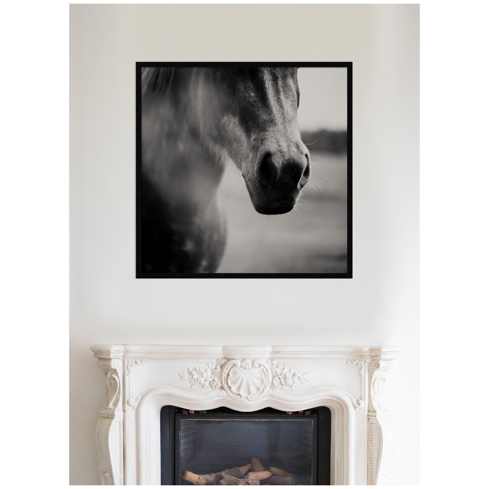 Horse Like Velvet by Laura Evans Framed Wall Art Print