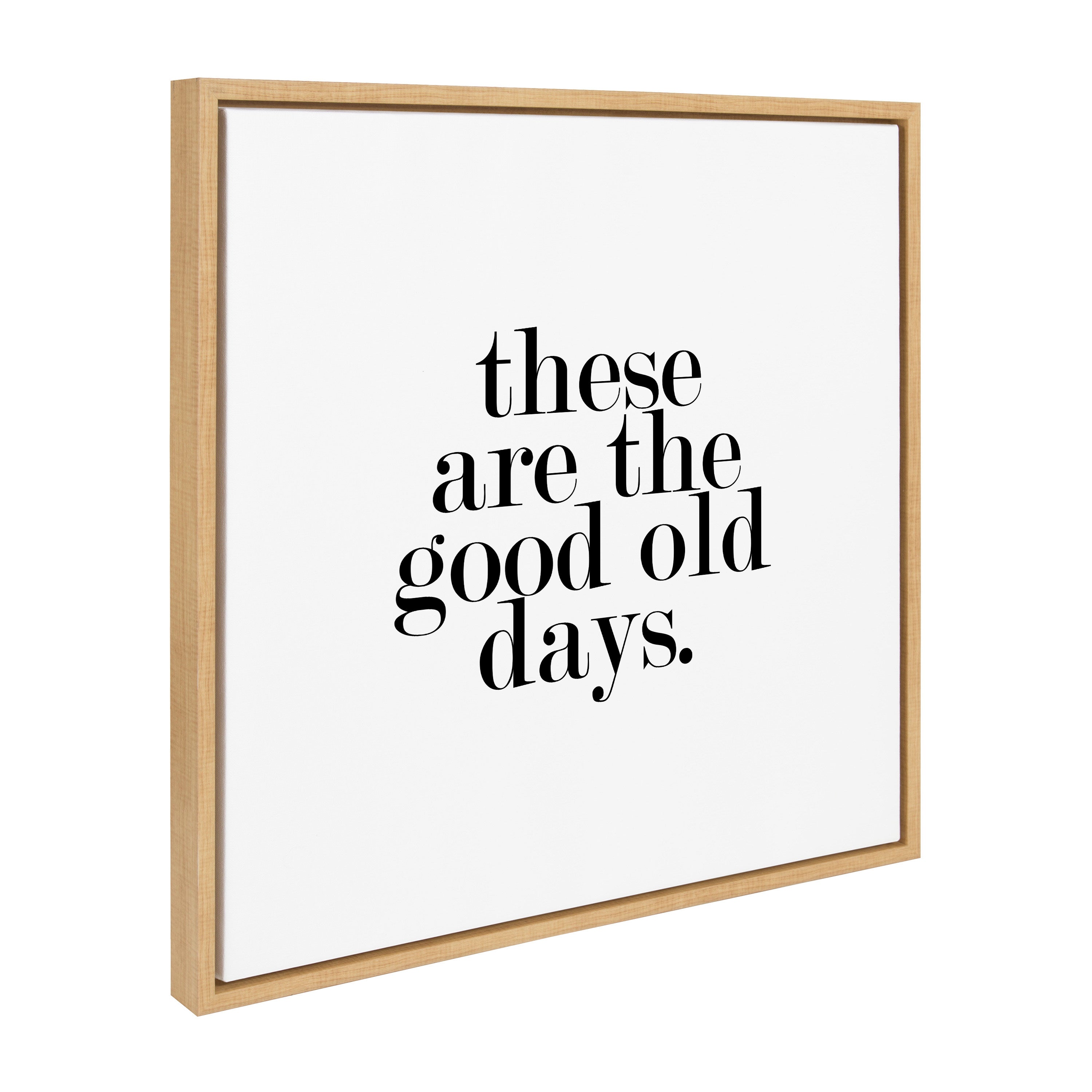 Sylvie Good Old Days Framed Canvas by kateandlaurel - product image 14 for Resin Society
