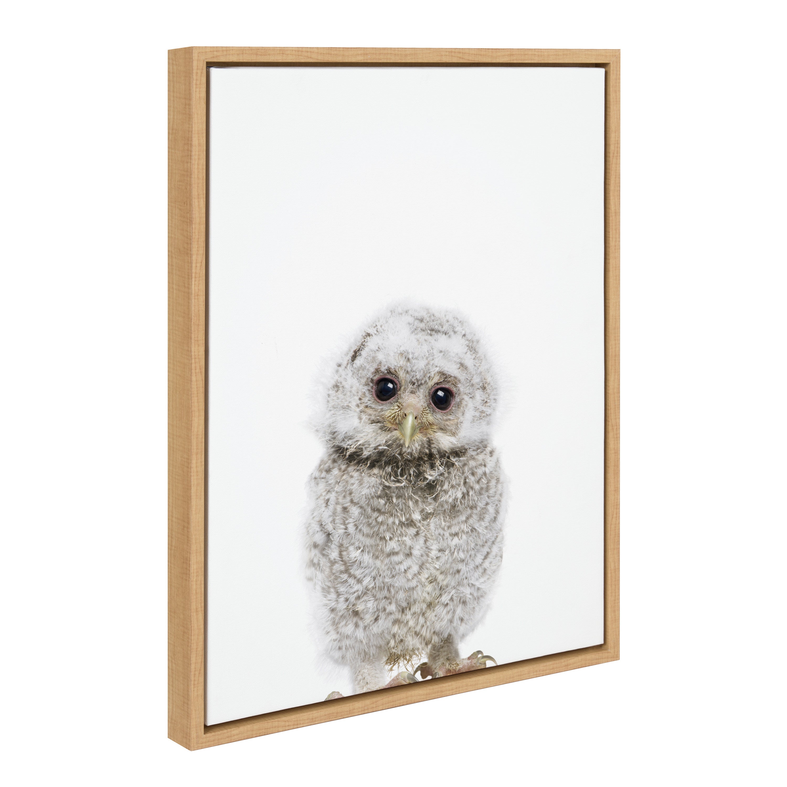 Sylvie Animal Studio Owl Framed Canvas by Amy Peterson Art Studio