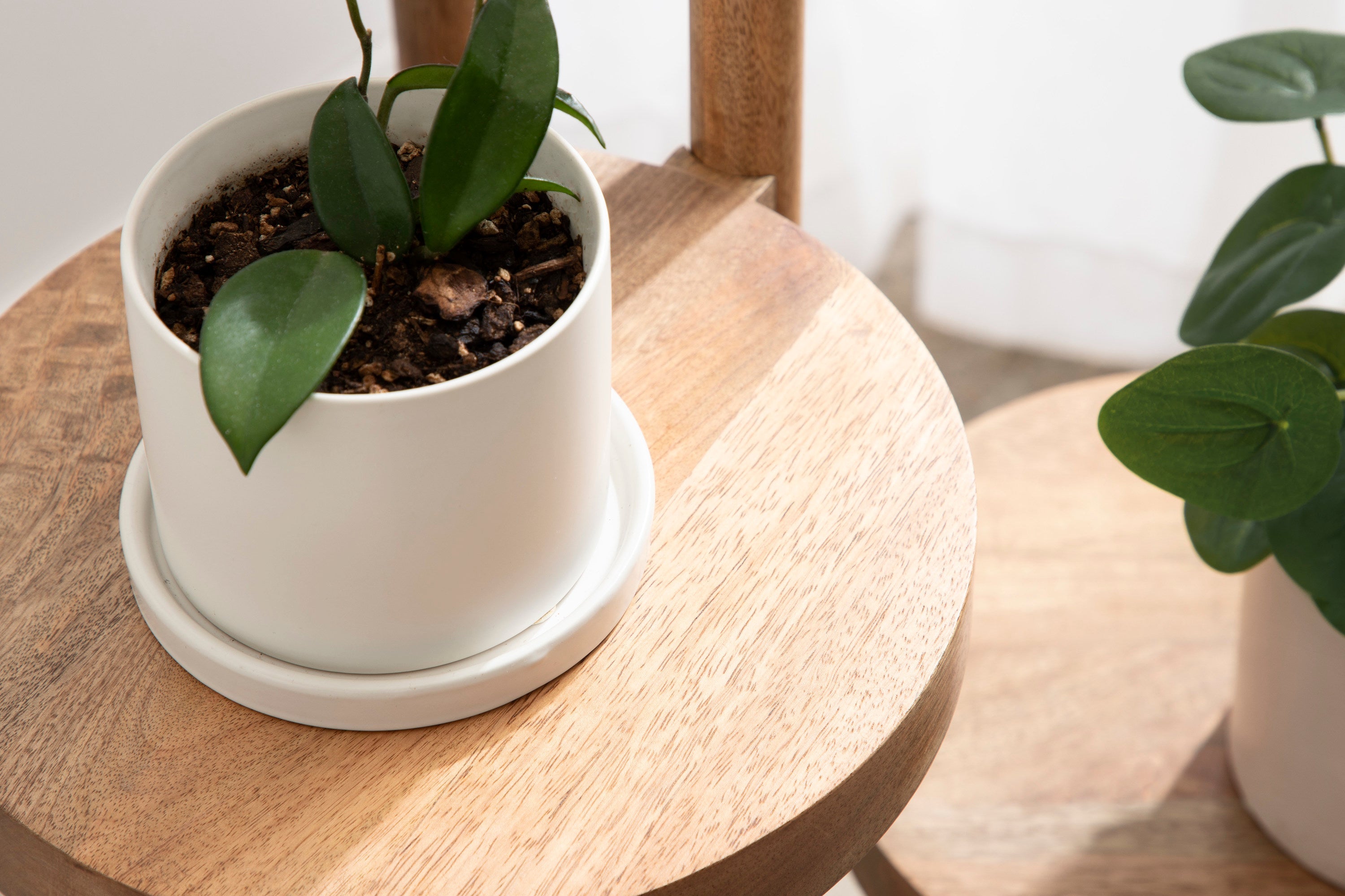 Fitley Wooden Plant Stand by kateandlaurel - product image 6 for Resin Society