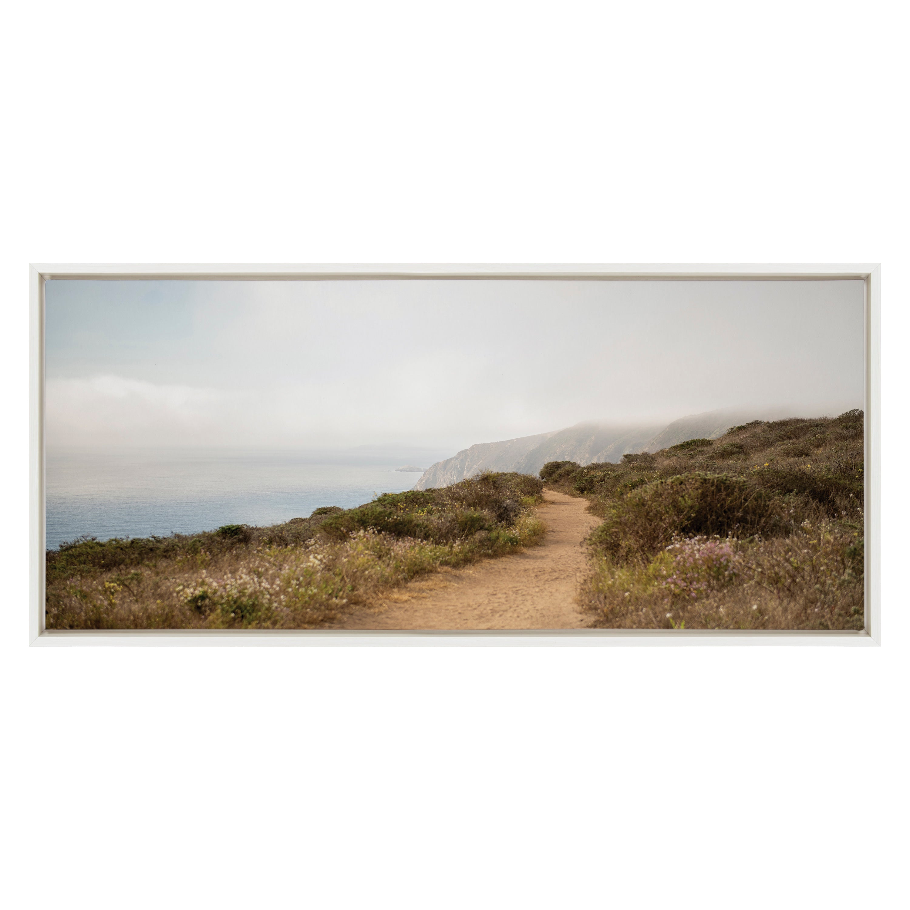 Sylvie Wild Coast No 4 Framed Canvas by Crystal Lynn Collins
