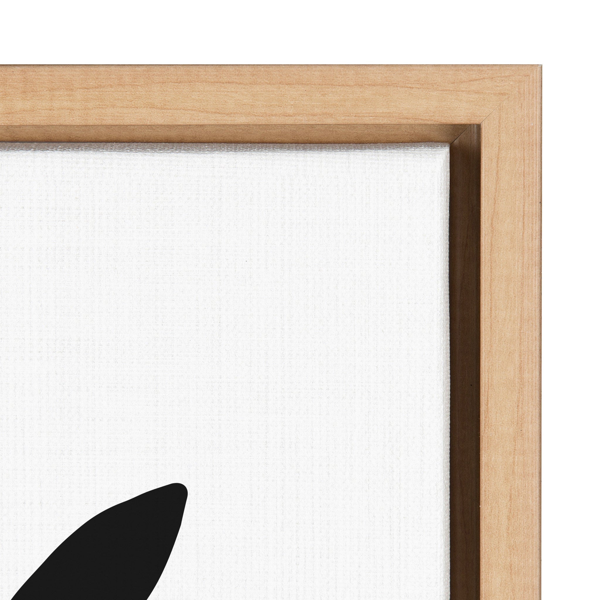 Sylvie Modern Botanical Framed Canvas Set by The Creative Bunch Studio by kateandlaurel - product image 3 for Resin Society