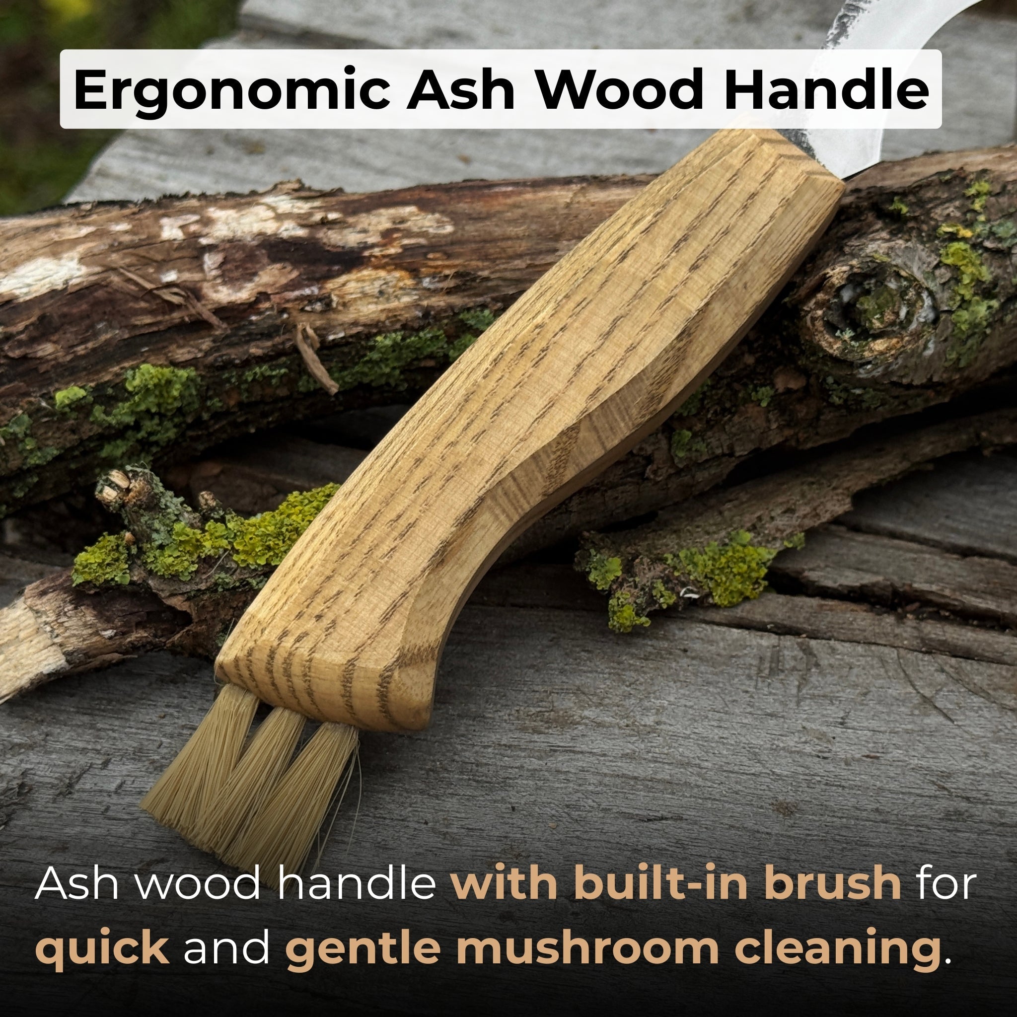 Forged mushroom knife with 6.5 cm carbon steel blade, ash wood handle, and built-in brush by Sharky Forged Steel Tools