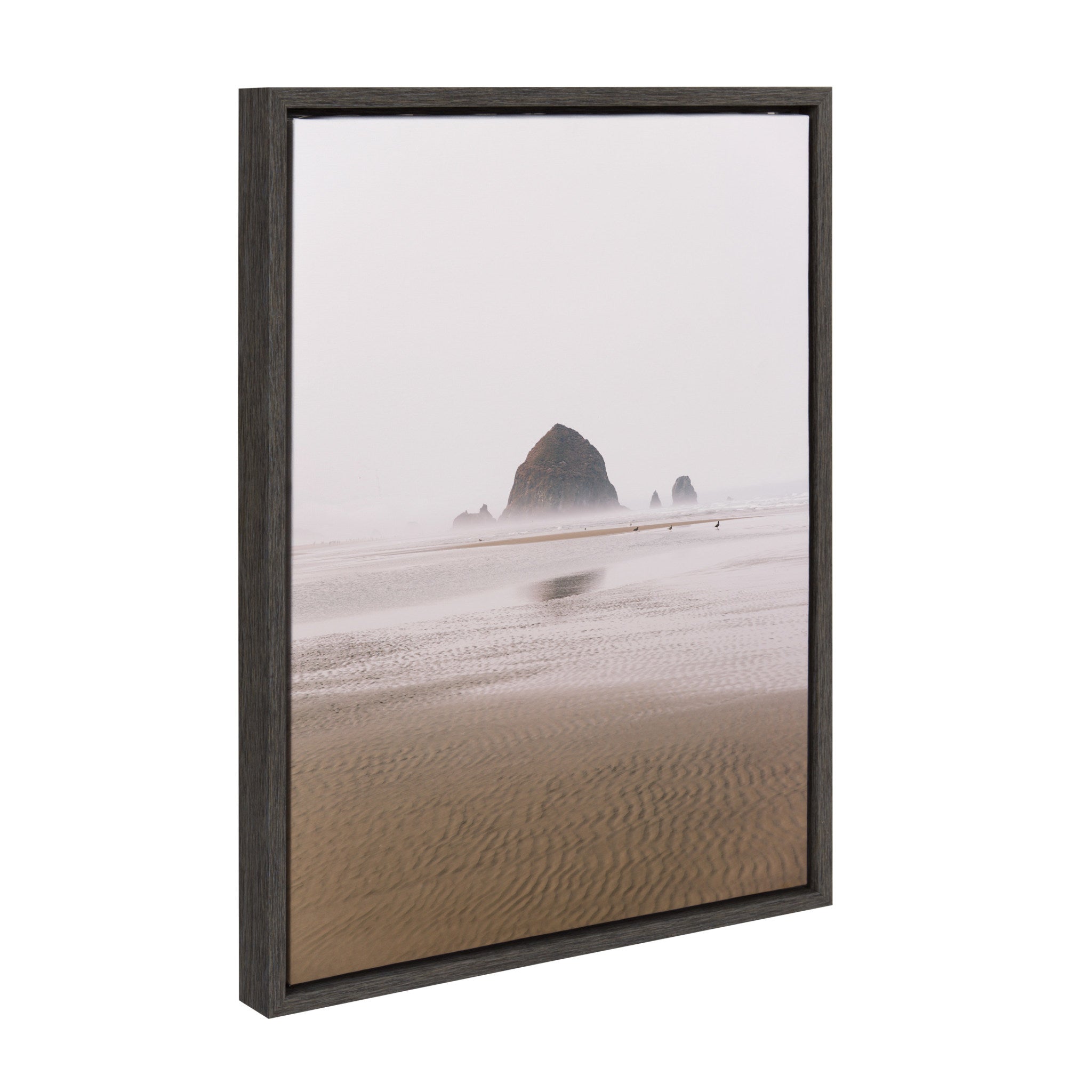 Sylvie Oregon Coast Framed Canvas by kateandlaurel - main product image for Resin Society