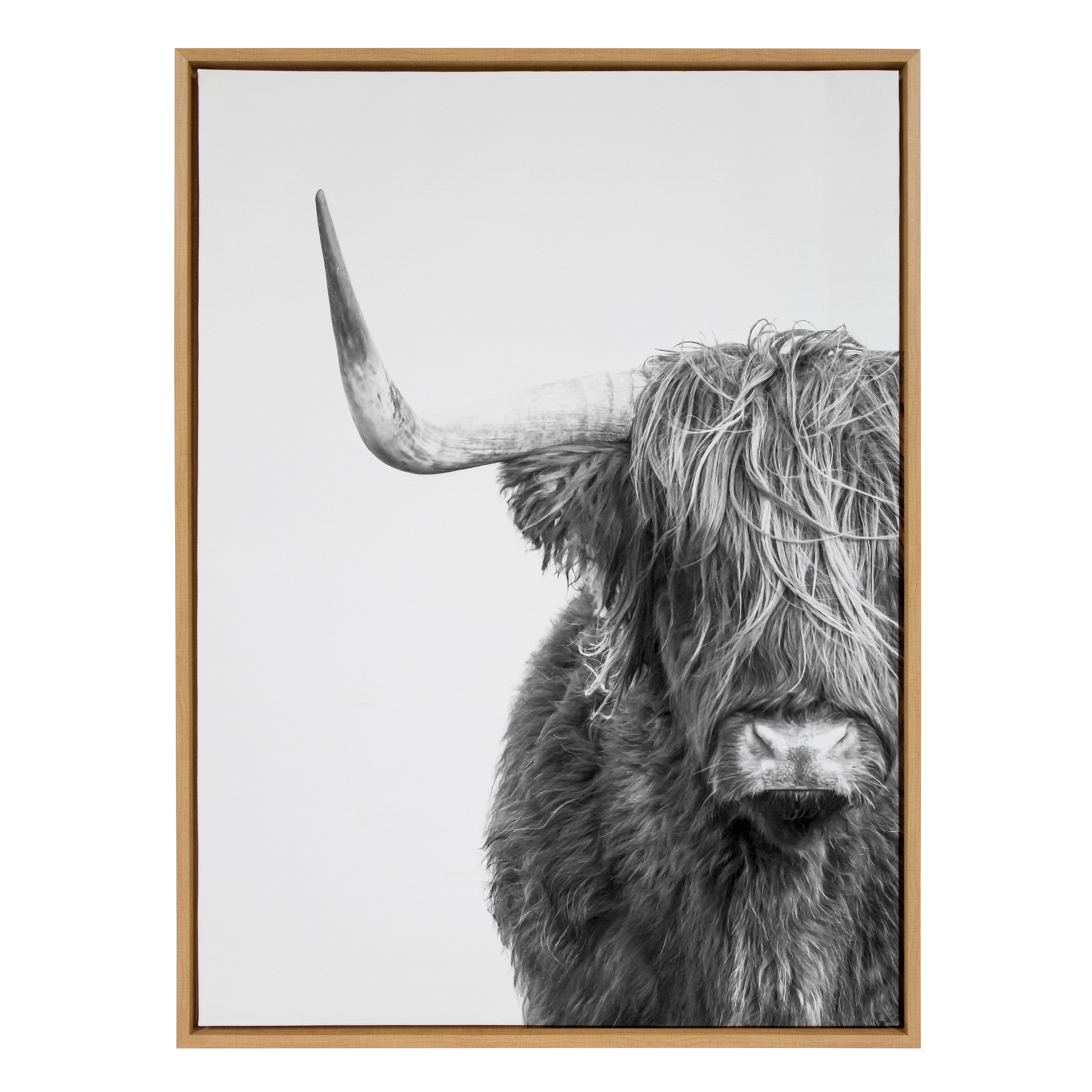 Sylvie B&W Highland Cow No. 1 Framed Canvas by Amy Peterson Art Studio