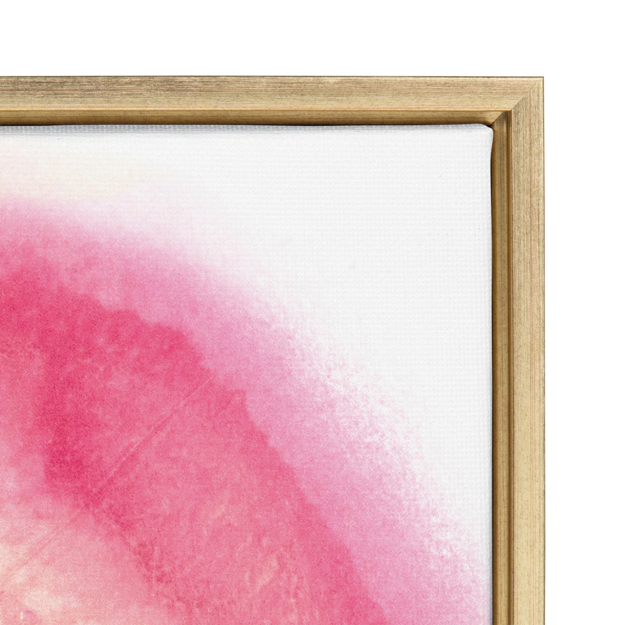 Sylvie Pink Golden Hour Framed Canvas by Mentoring Positives