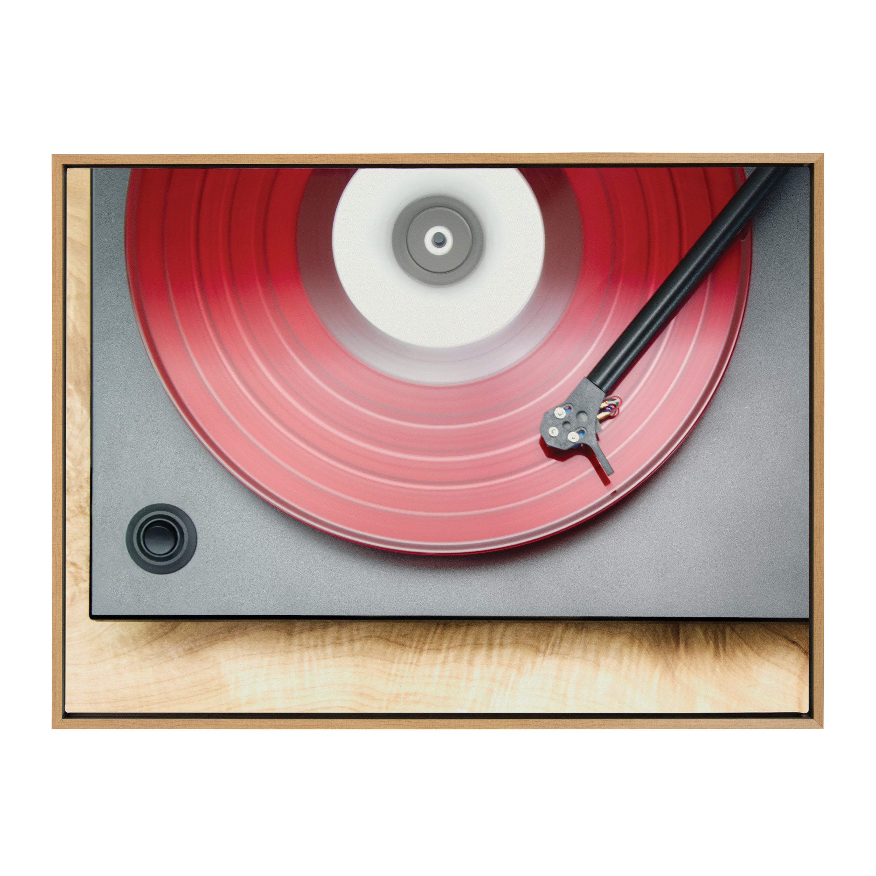 Sylvie Red Vinyl Framed Canvas by Emiko and Mark Franzen