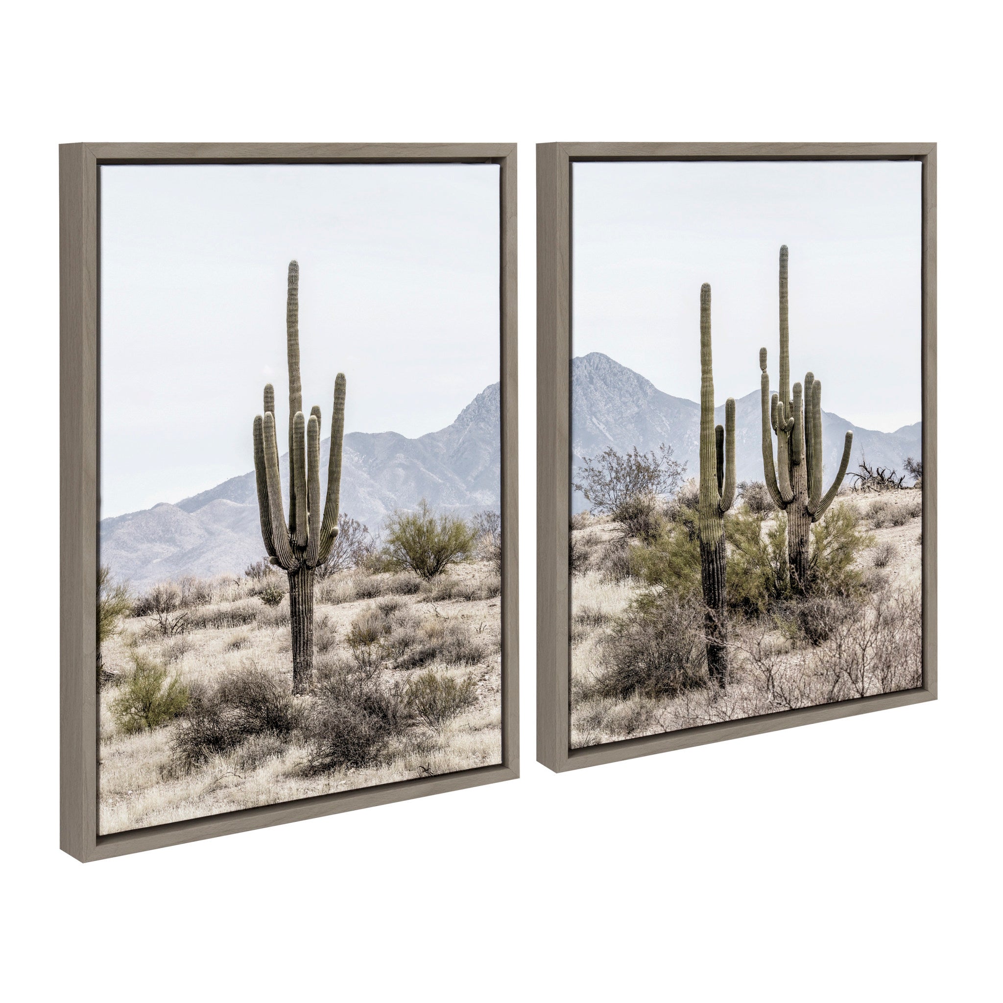 Sylvie Tall Saguaro Cacti Desert Mountain Framed Canvas Set by The by kateandlaurel - product image 2 for Resin Society