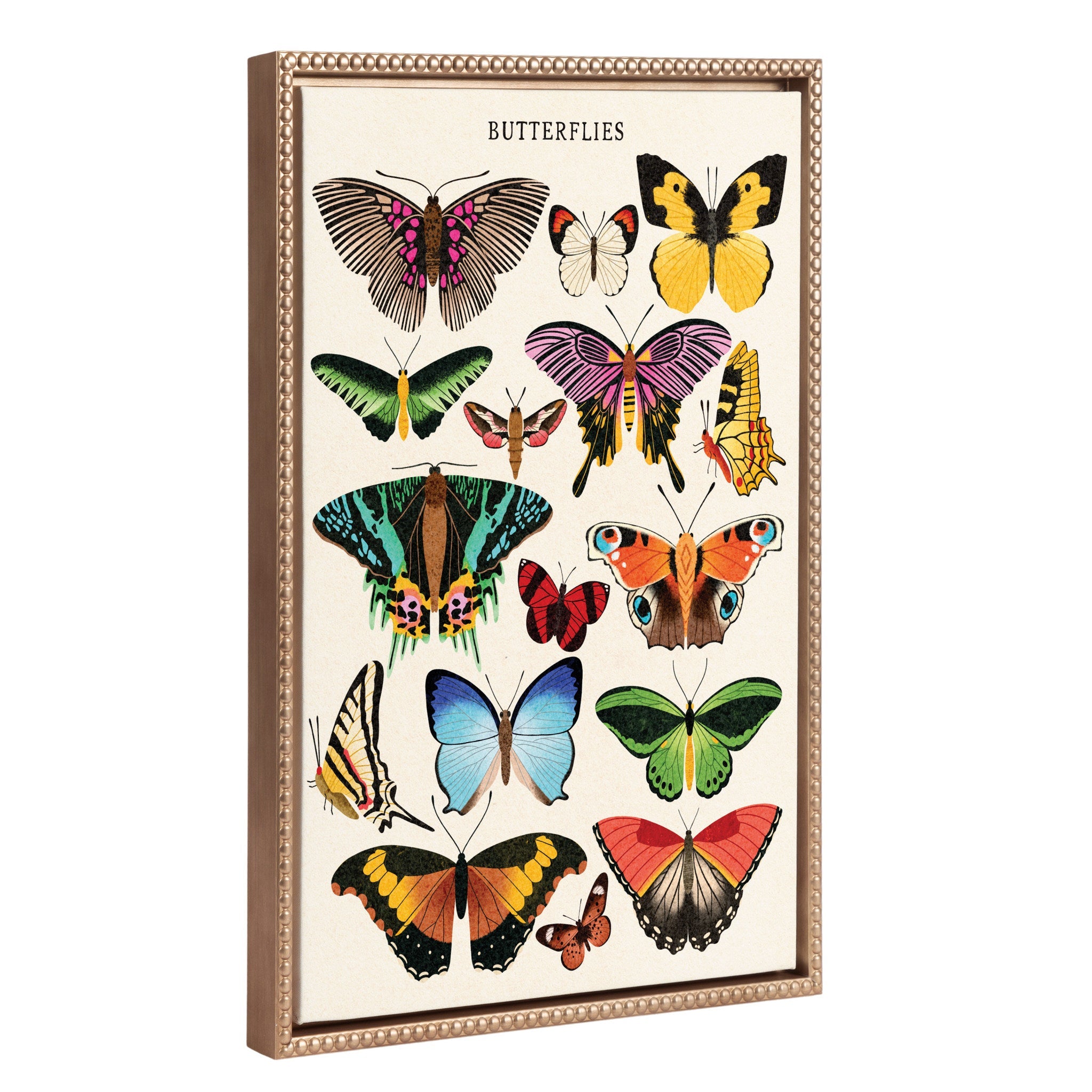 Sylvie Beaded Butterflies framed canvas art featuring colorful butterflies with vintage beaded golden frame